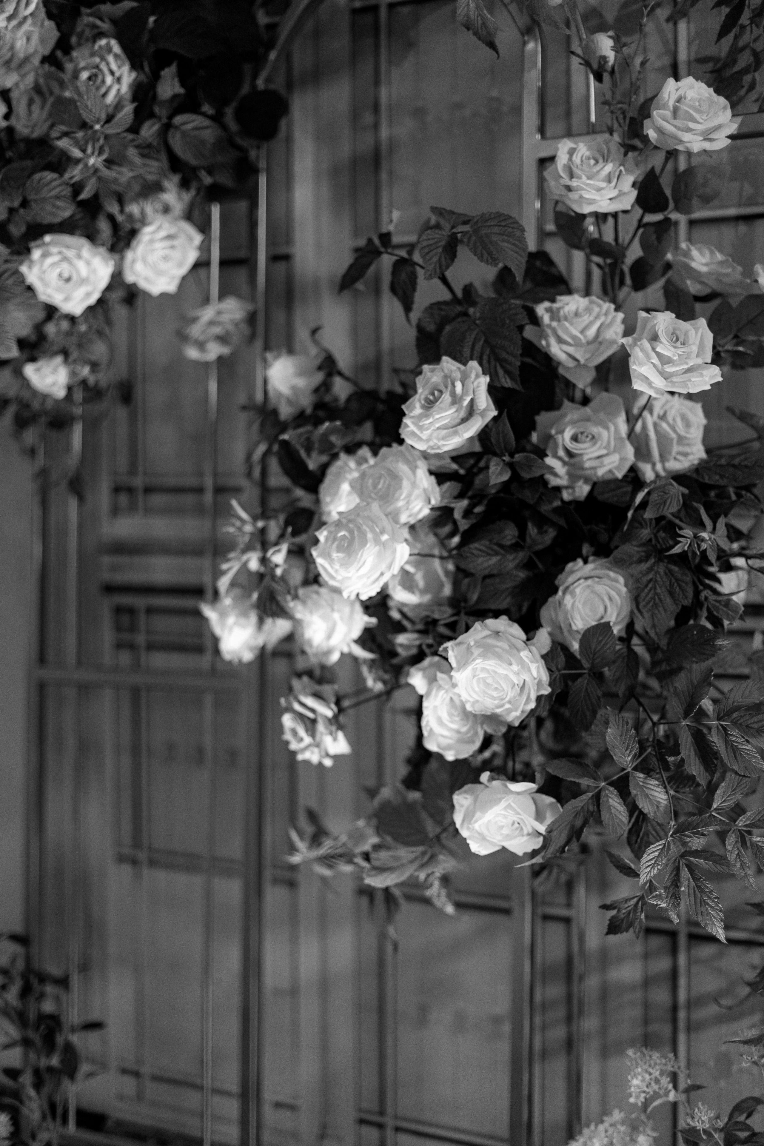 Кирилл & Арина. Свадебный и семейный фотограф Татьяна Селезнева