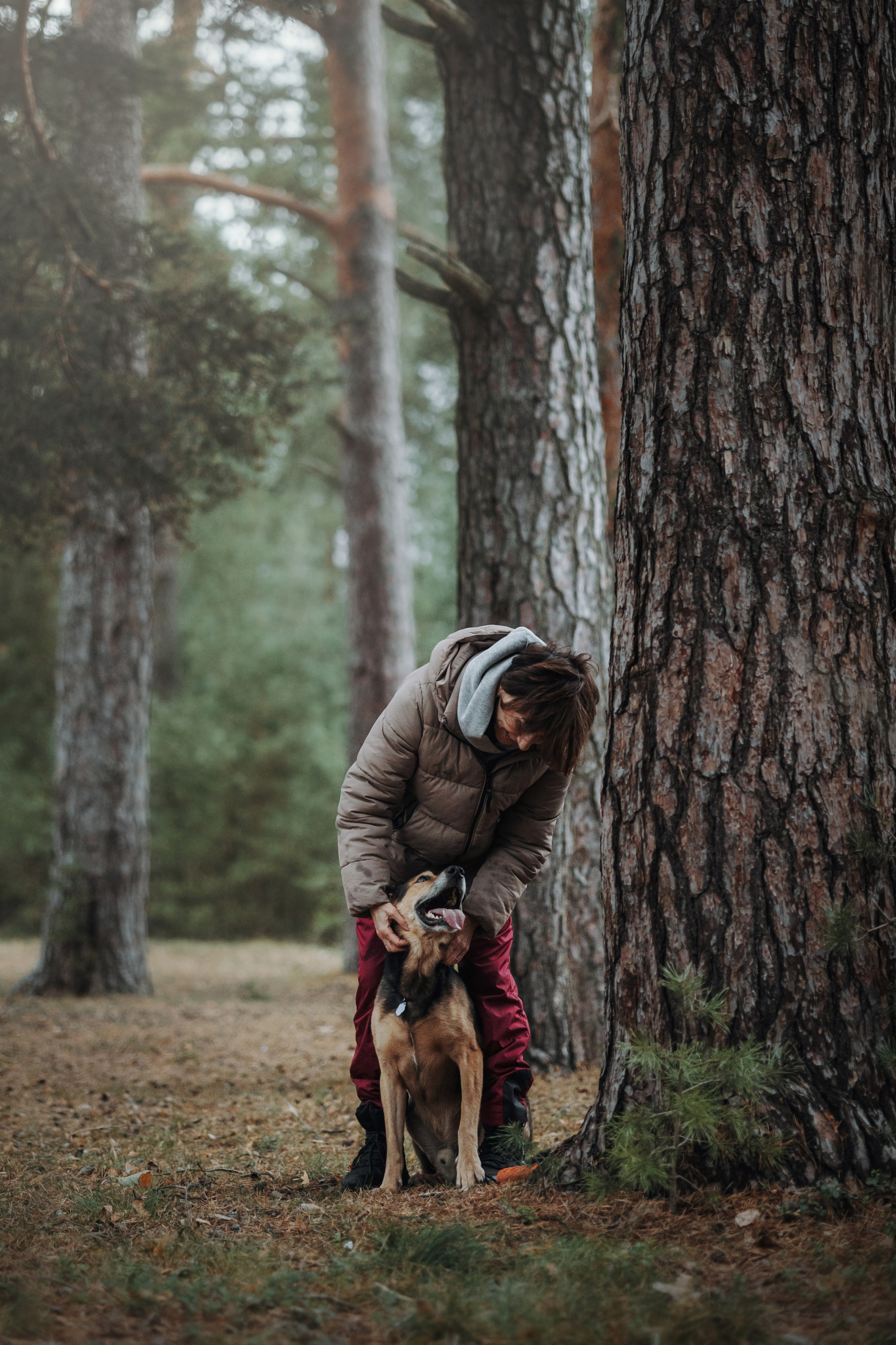 Наталья и Того. Фотограф — Анималист | Санкт-Петербург
