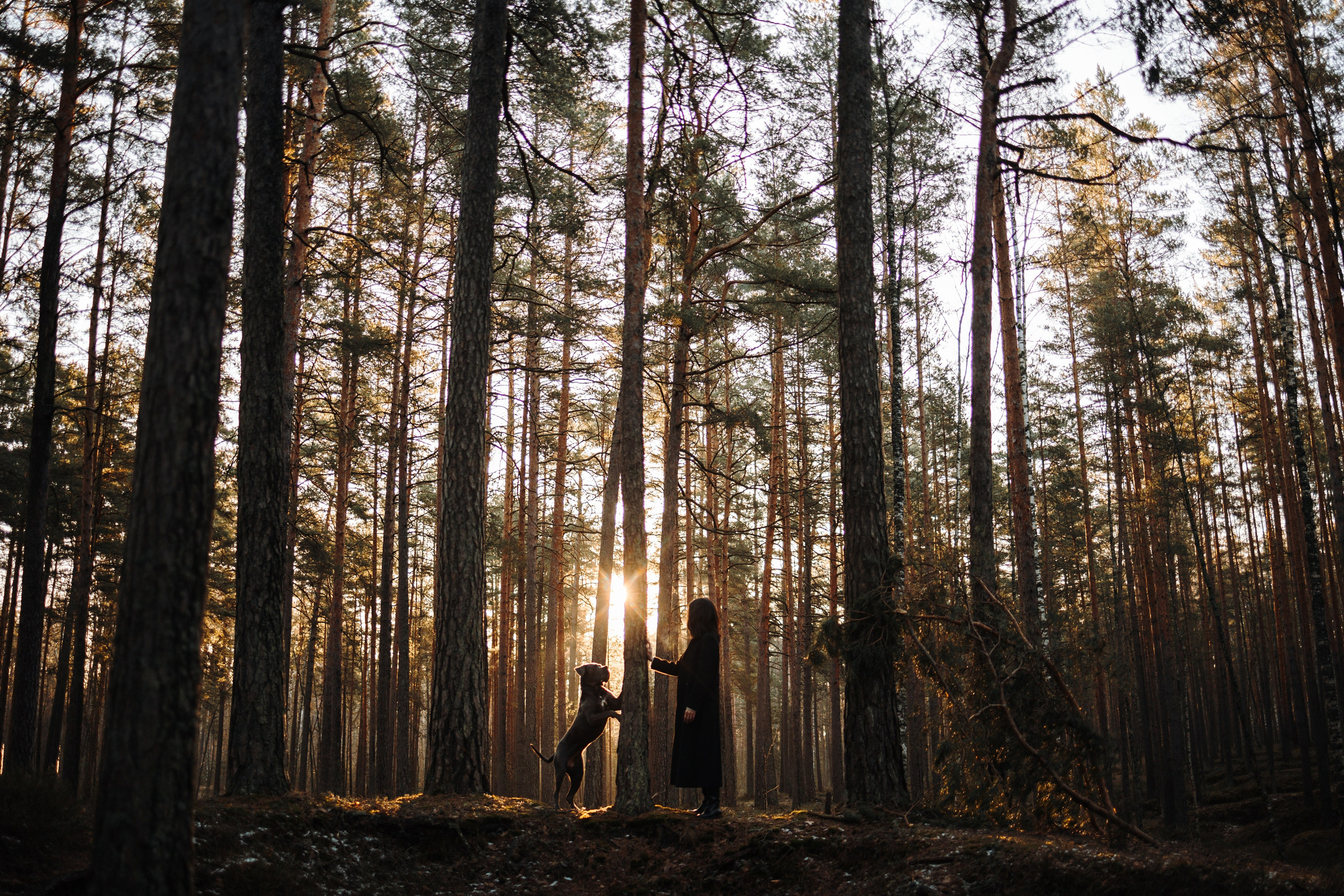 Анна и Лана. Фотограф — Анималист | Санкт-Петербург