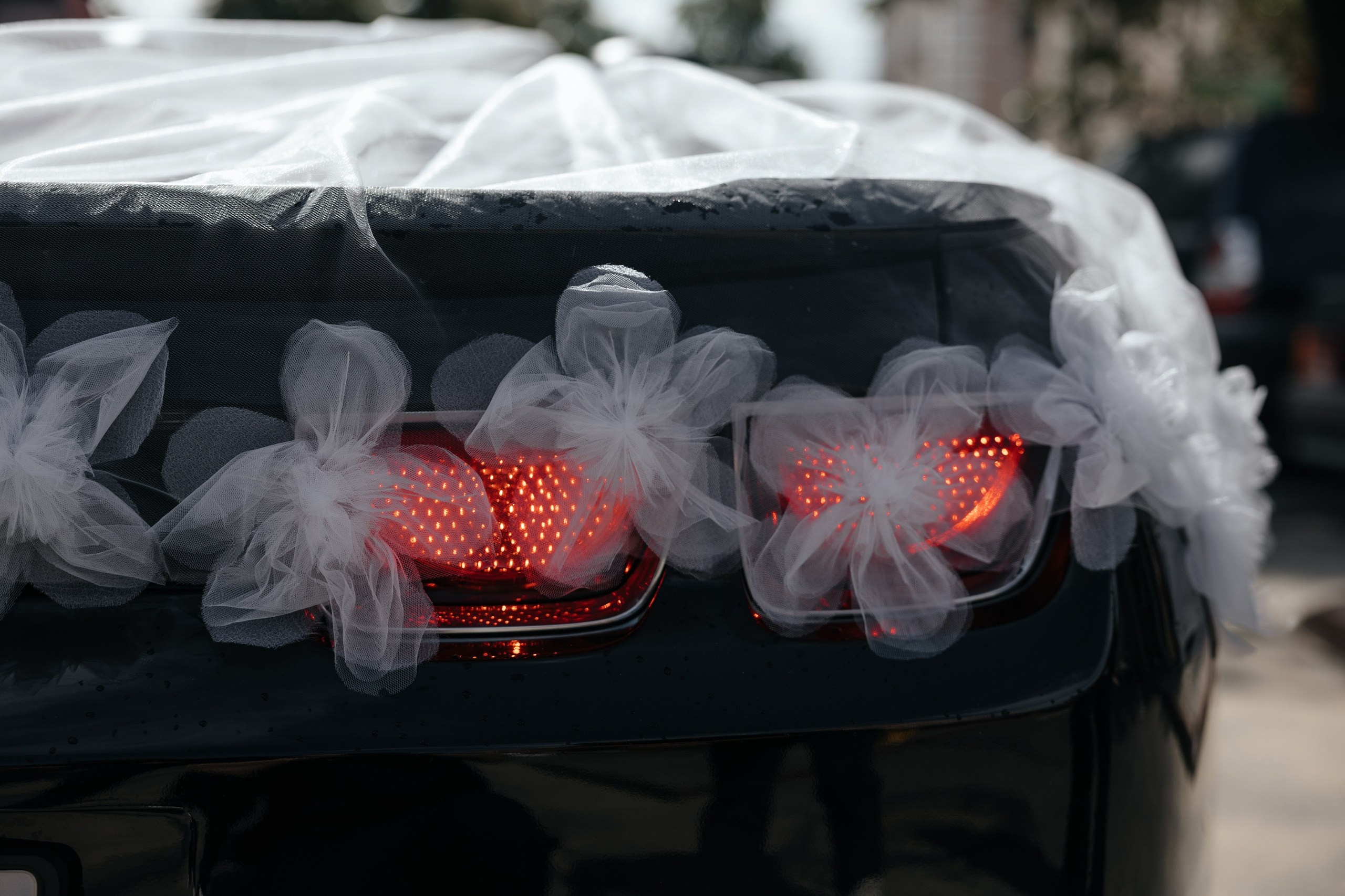 Tasigo. Свадебный фотограф в Ульяновске Алексей Китов