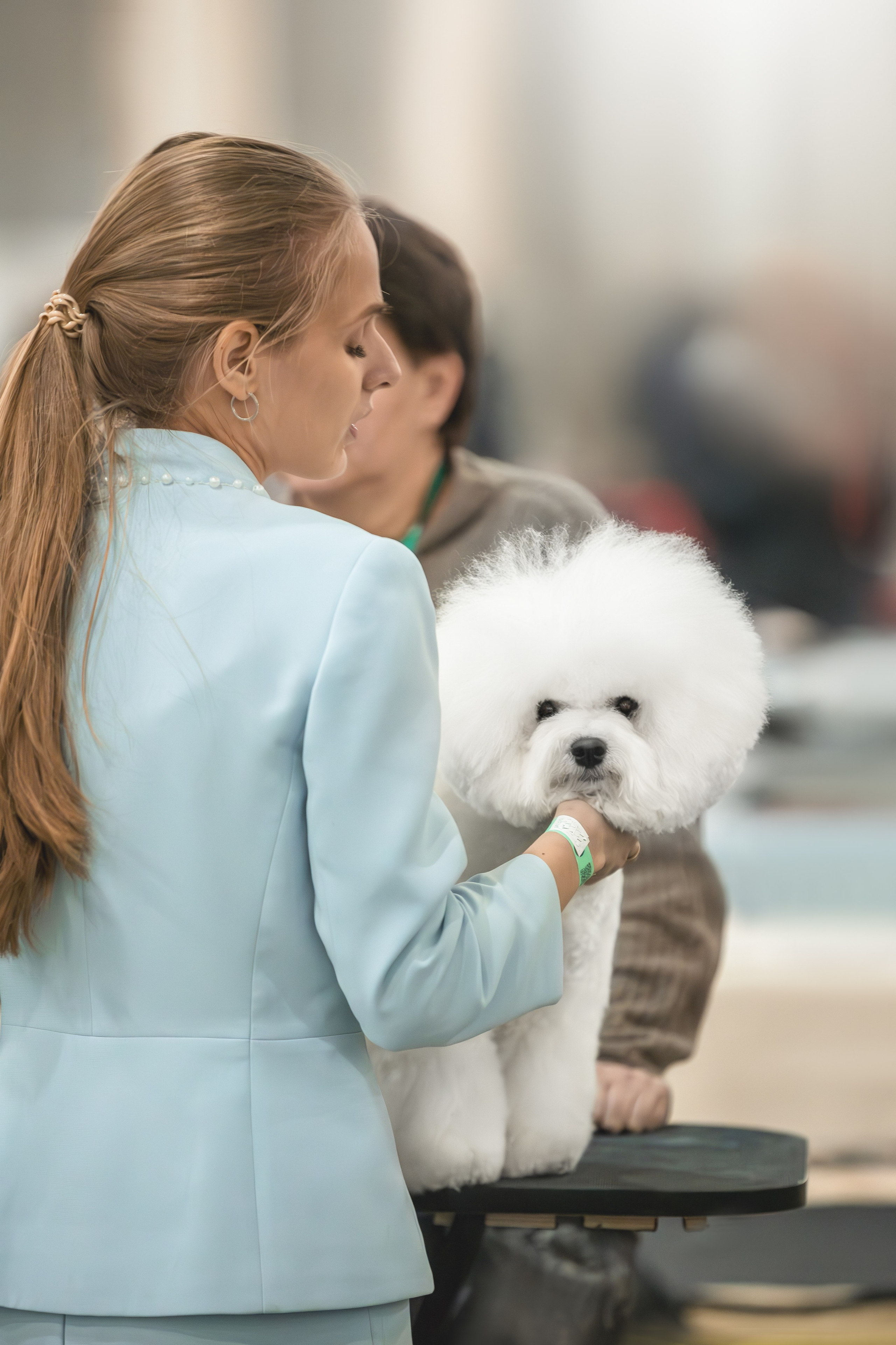 Евразия 2023. Фотограф анималист в Москве Майорова Евгения