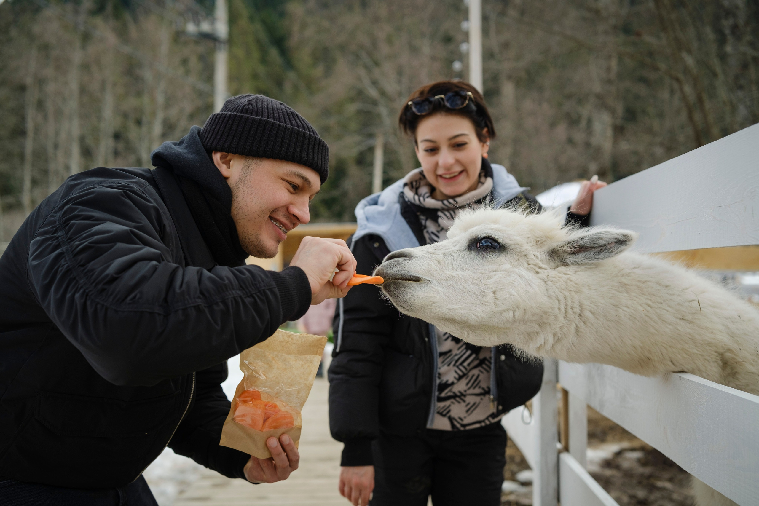 Архыз 9-11 02 24. Главная