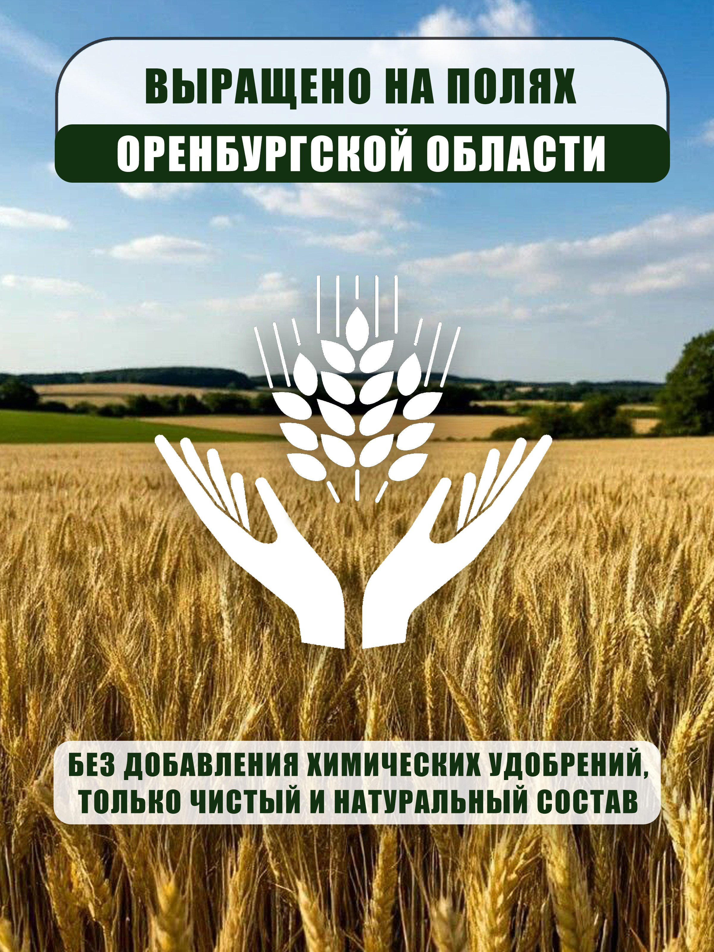 Инфографика. Предметный фотограф, маркетплейсы г. Оренбург Станкевич Тамара