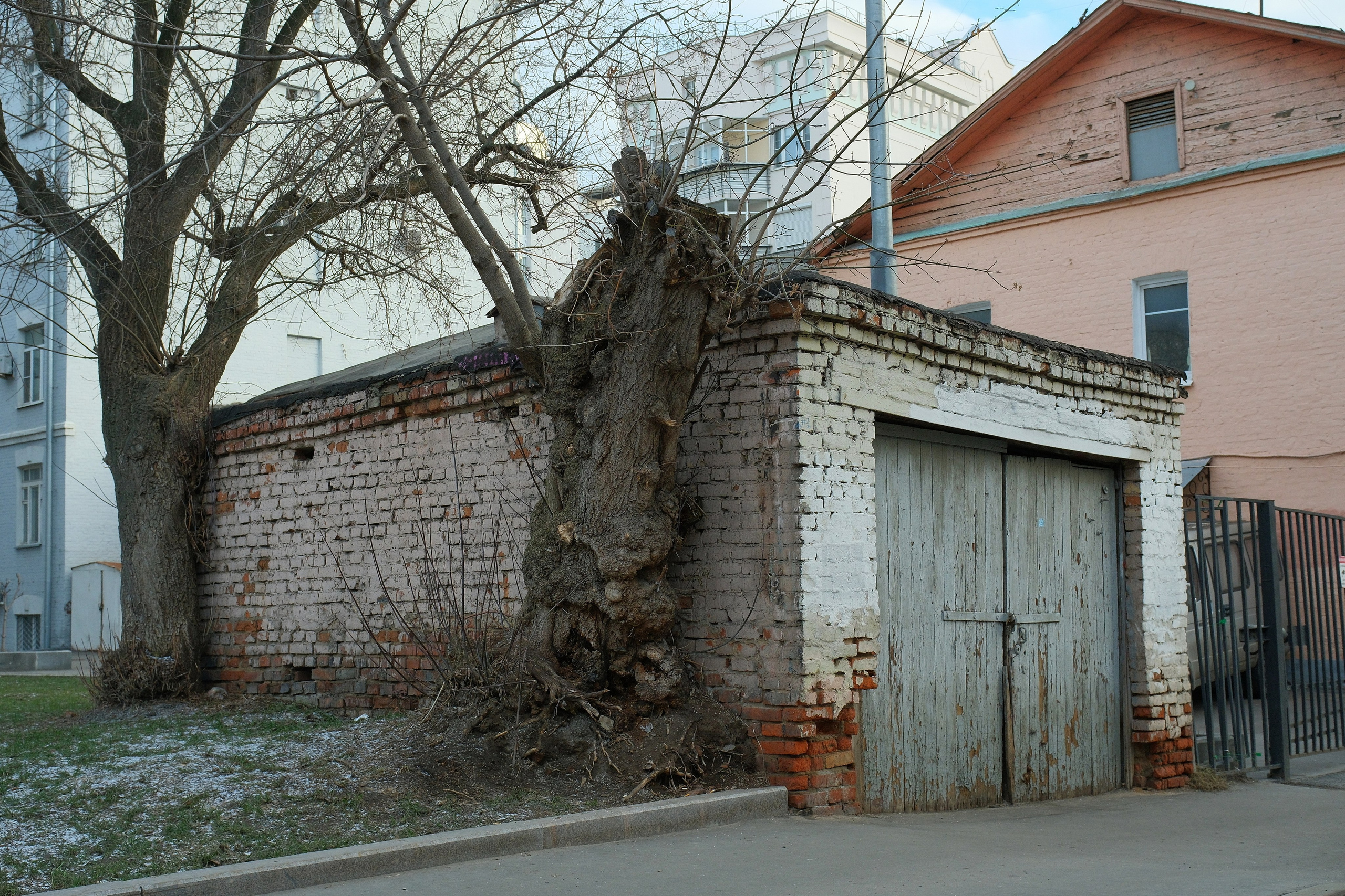 Улица, люди, жизнь…