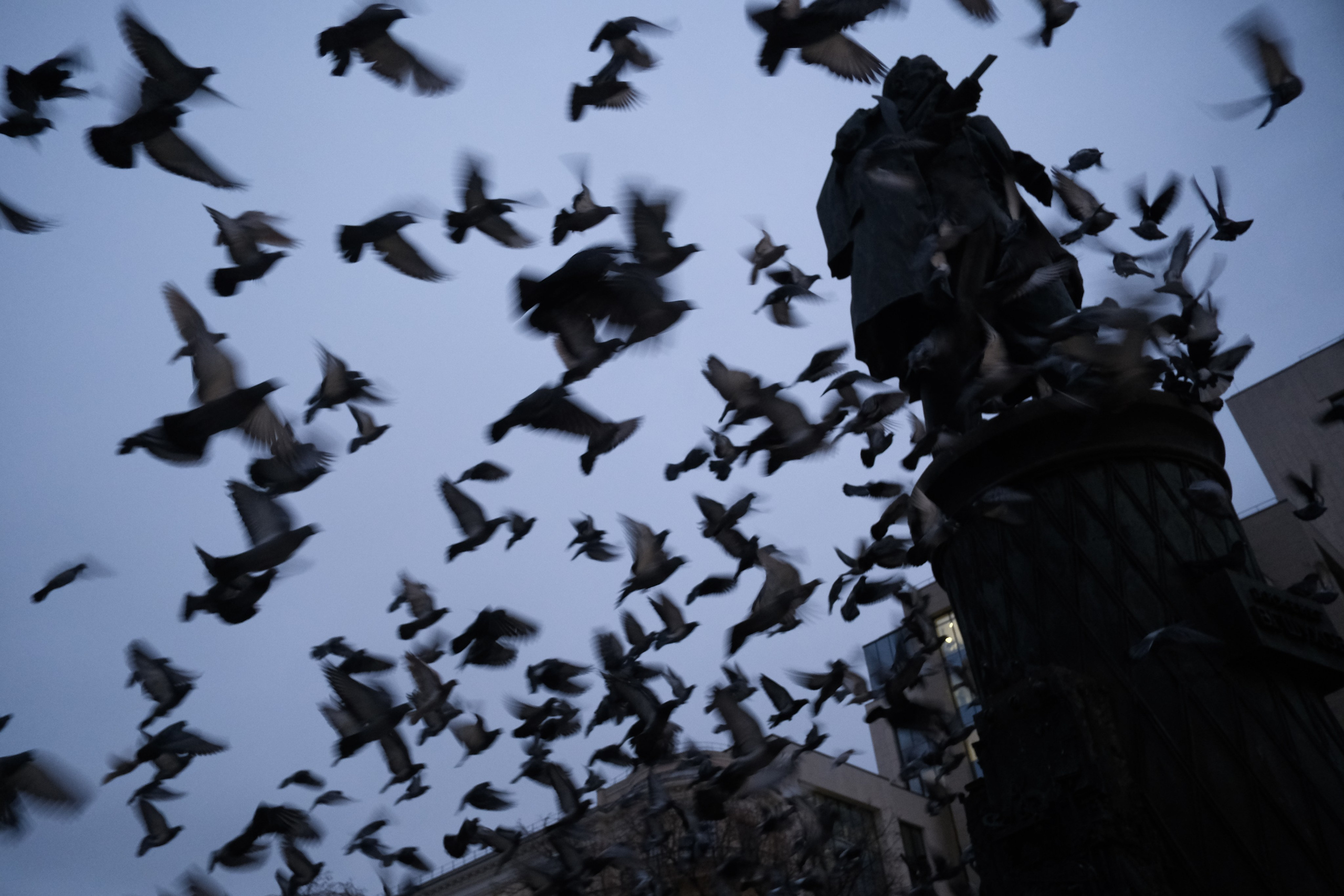 Вечерний город. Улица, люди, жизнь…