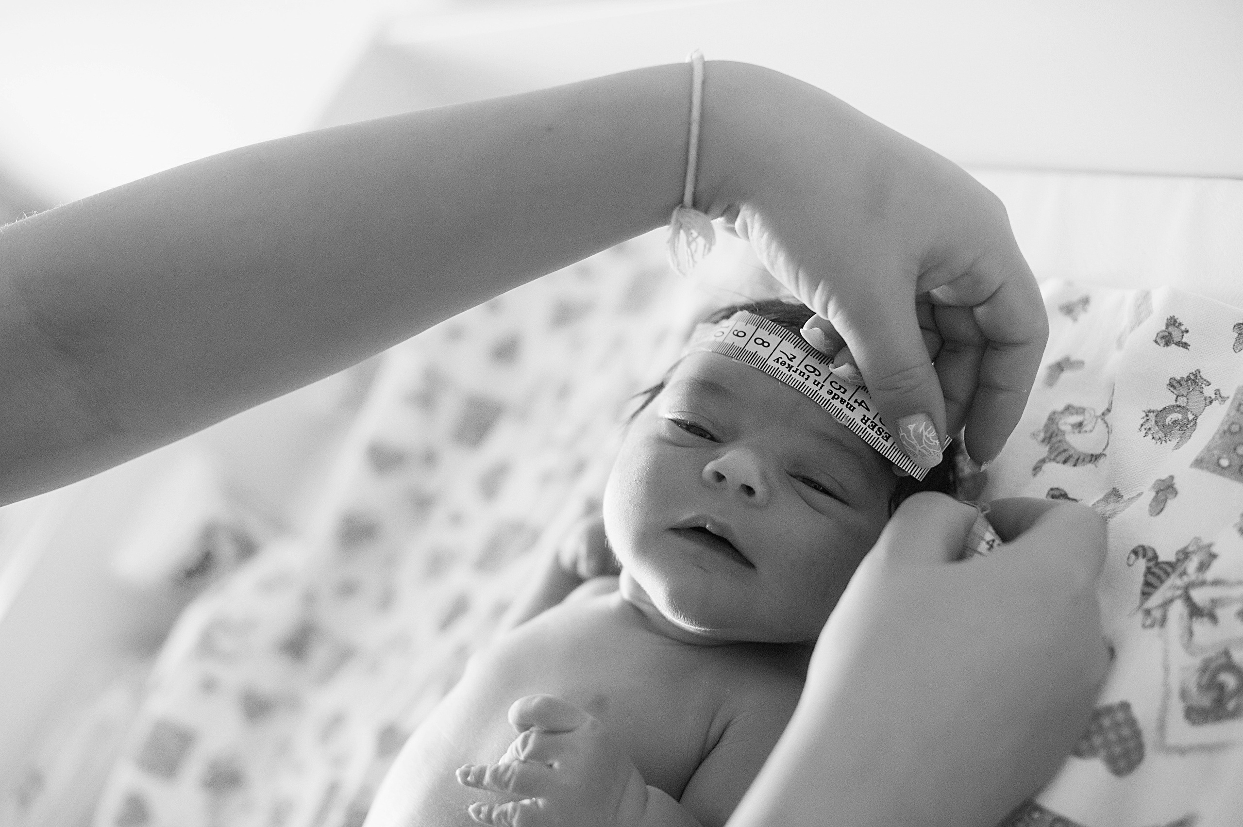 РОДДОМ. Фотограф Вера Демидкова