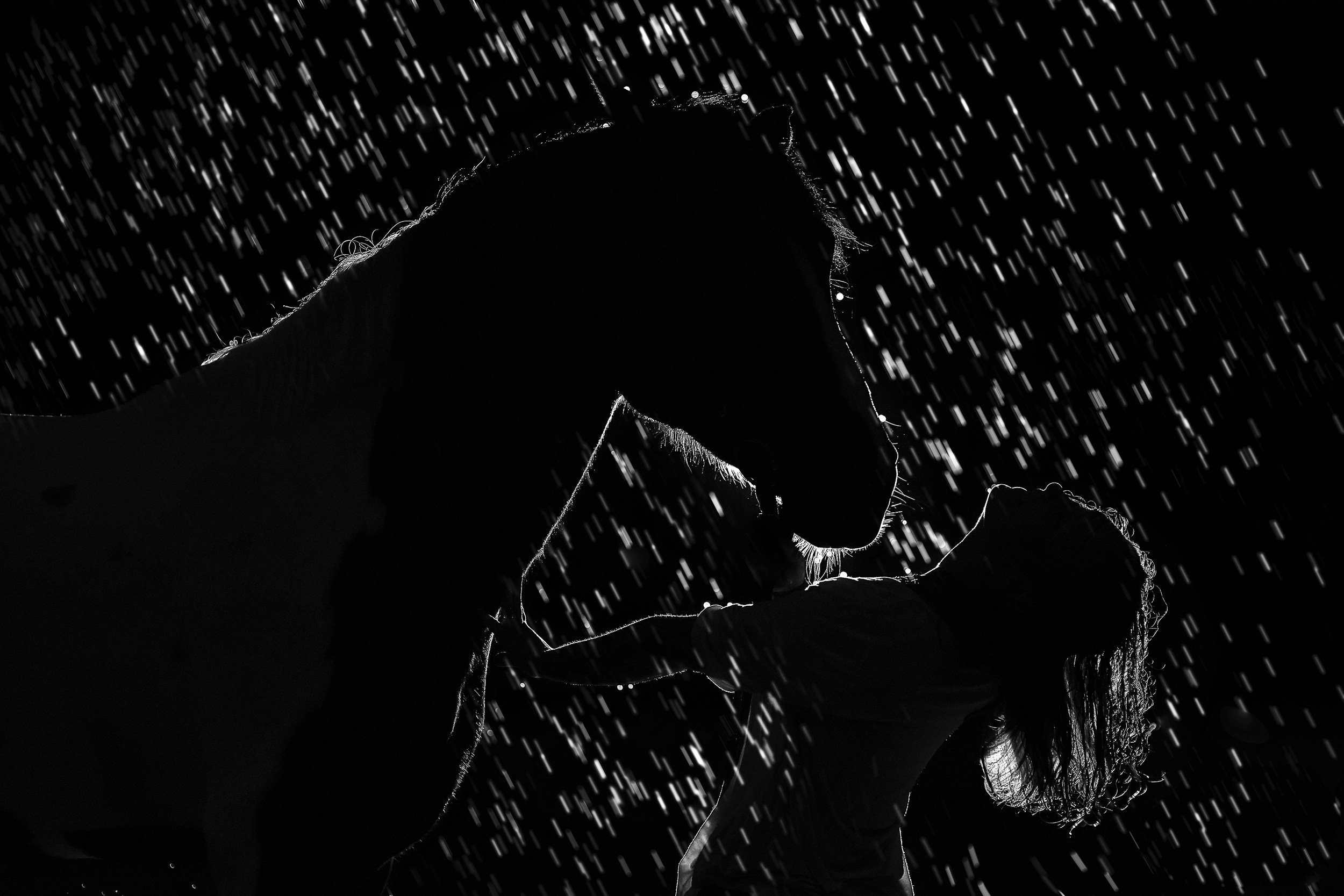 Фотосессия с лошадьми, Фотограф Михаил Семенов г. Ярославль