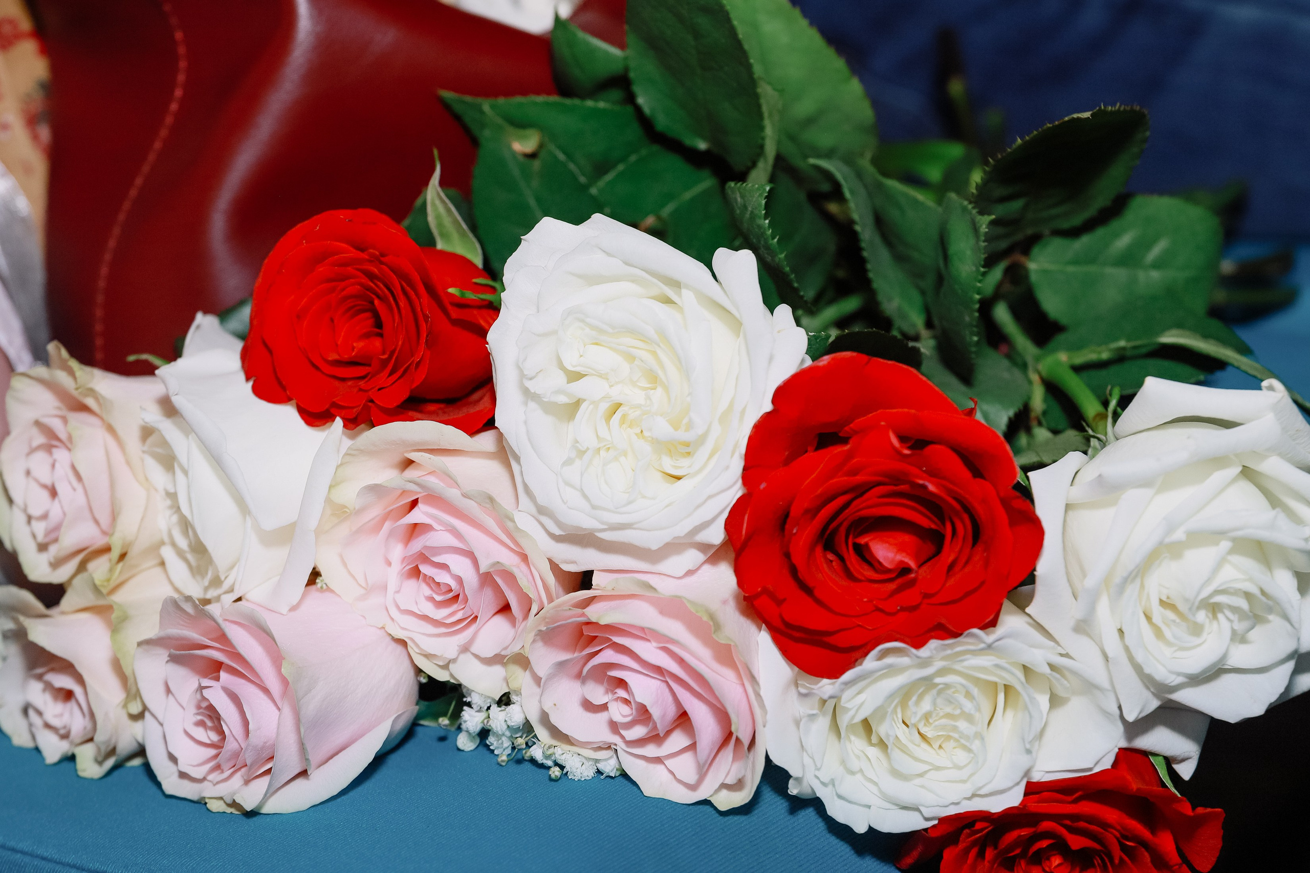 Котиара _ Отчетник. Фотограф Юлия Мальцева