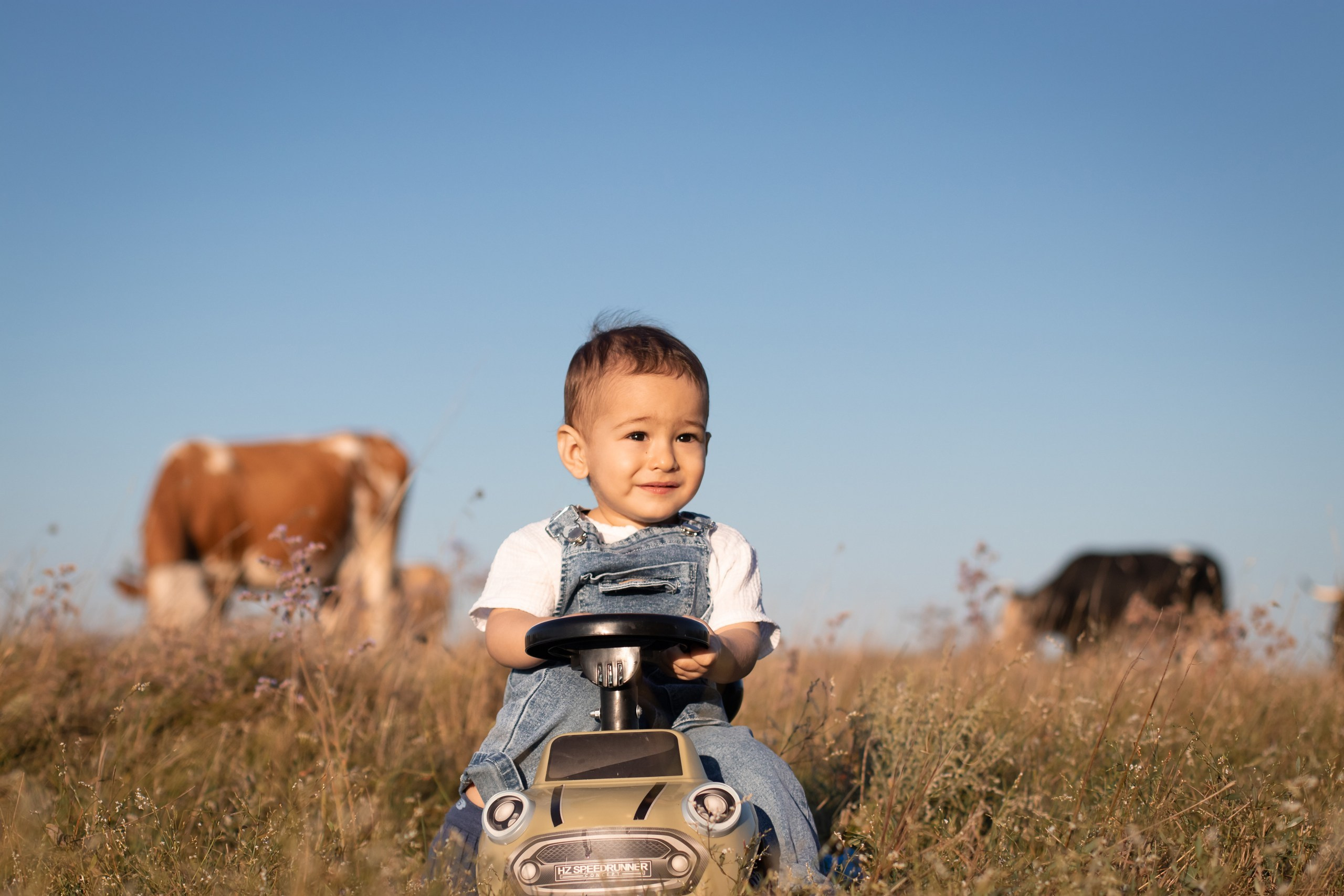 Моё лето. Фотосалон Рудня. Волгоградская область. Фотограф Вера