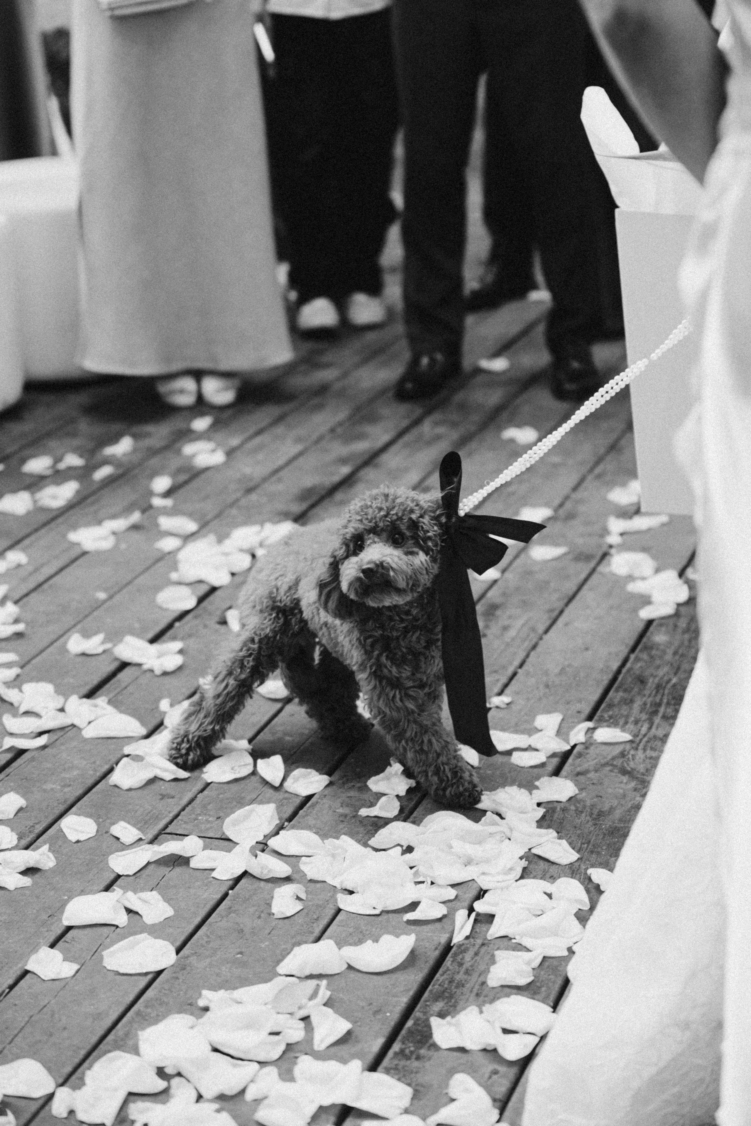 2. Свадебный фотограф Марусина Катерина