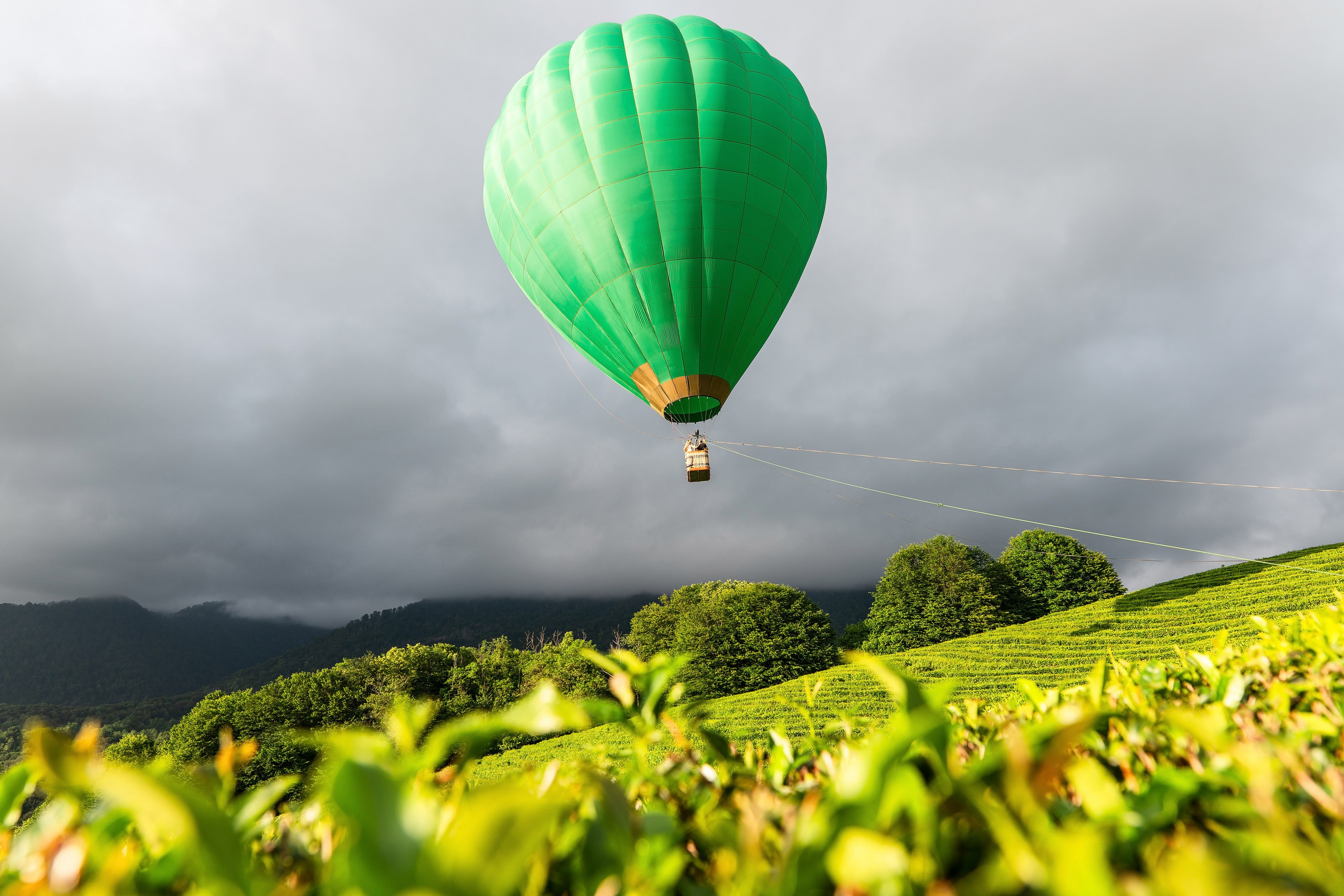 Фотограф на праздник Сочи. Фотограф Сочи