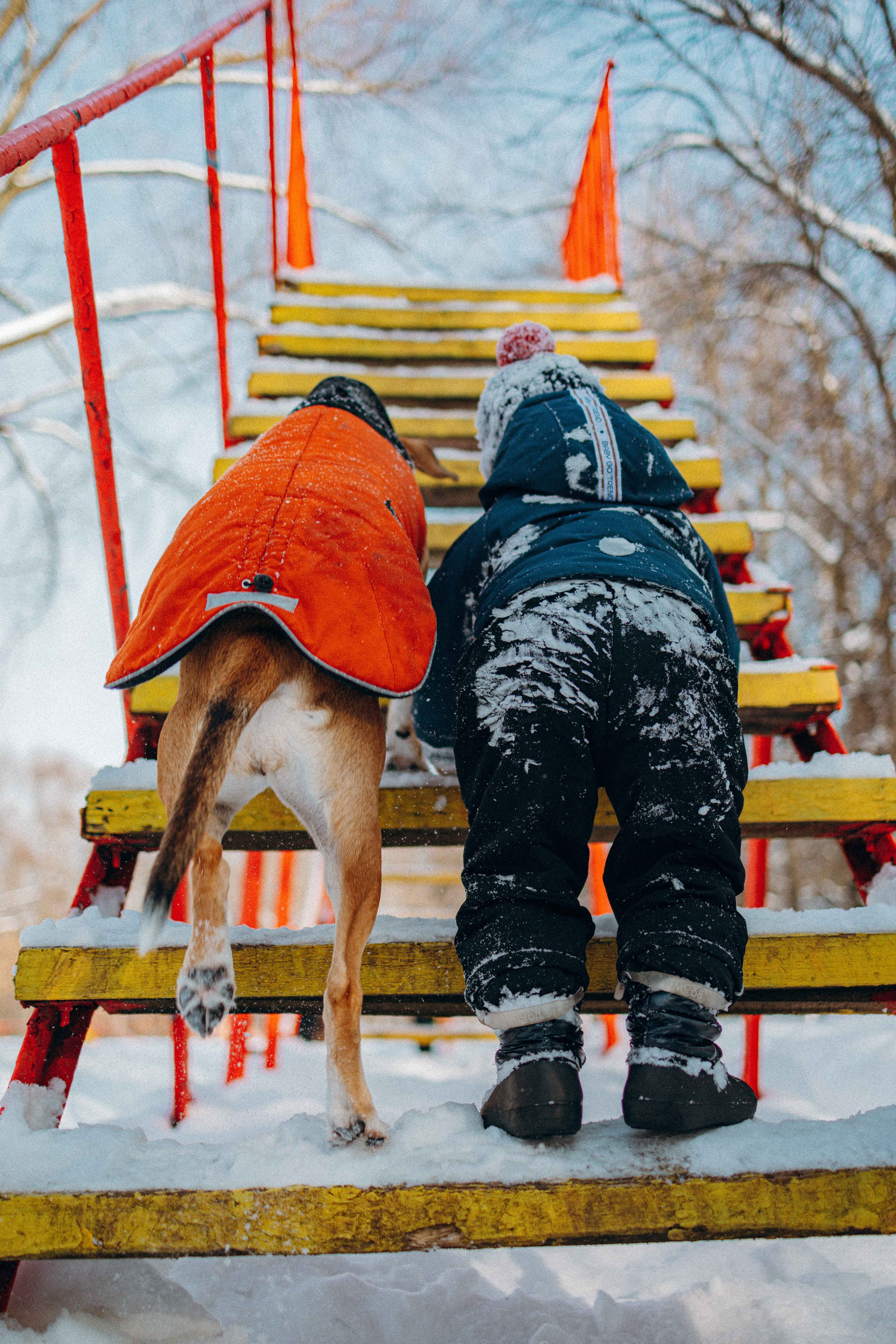 Свобода и ее семья. Фотограф-анималист в Москве Лера Черноног