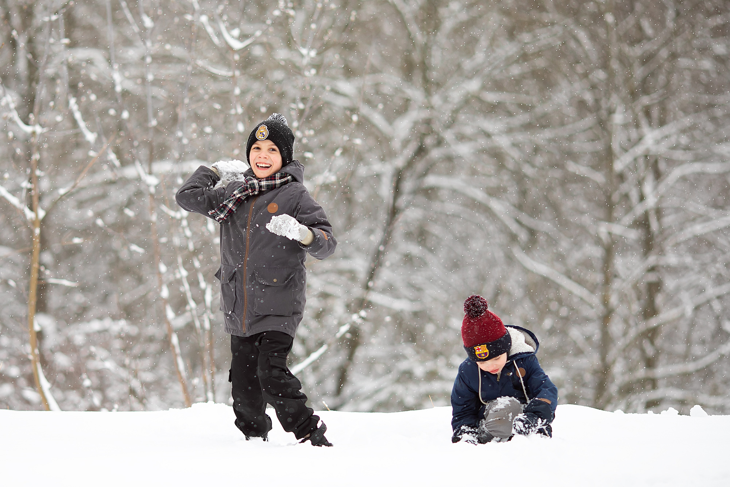 Зимняя радость. Главная