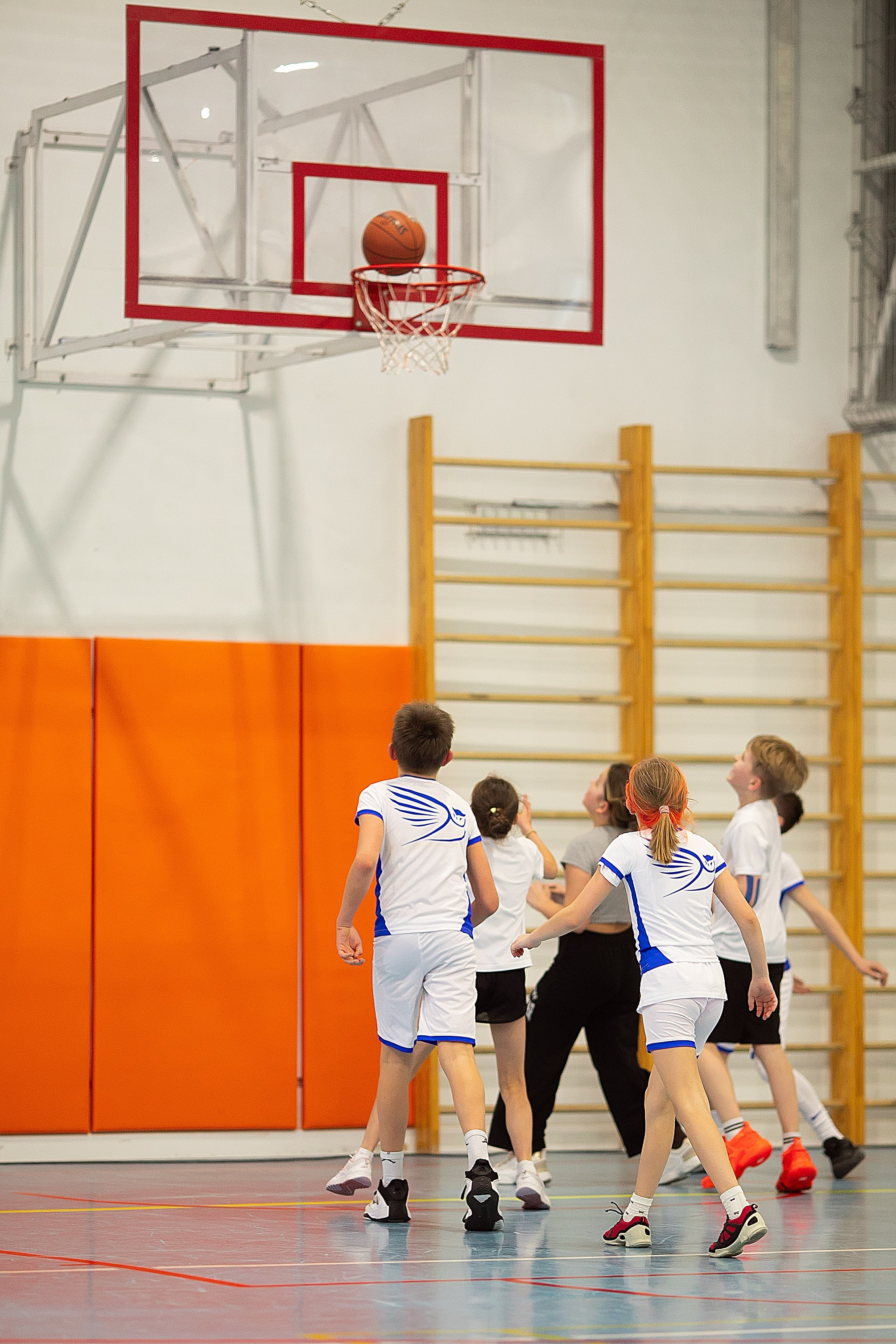 Баскетбол 1. Главная