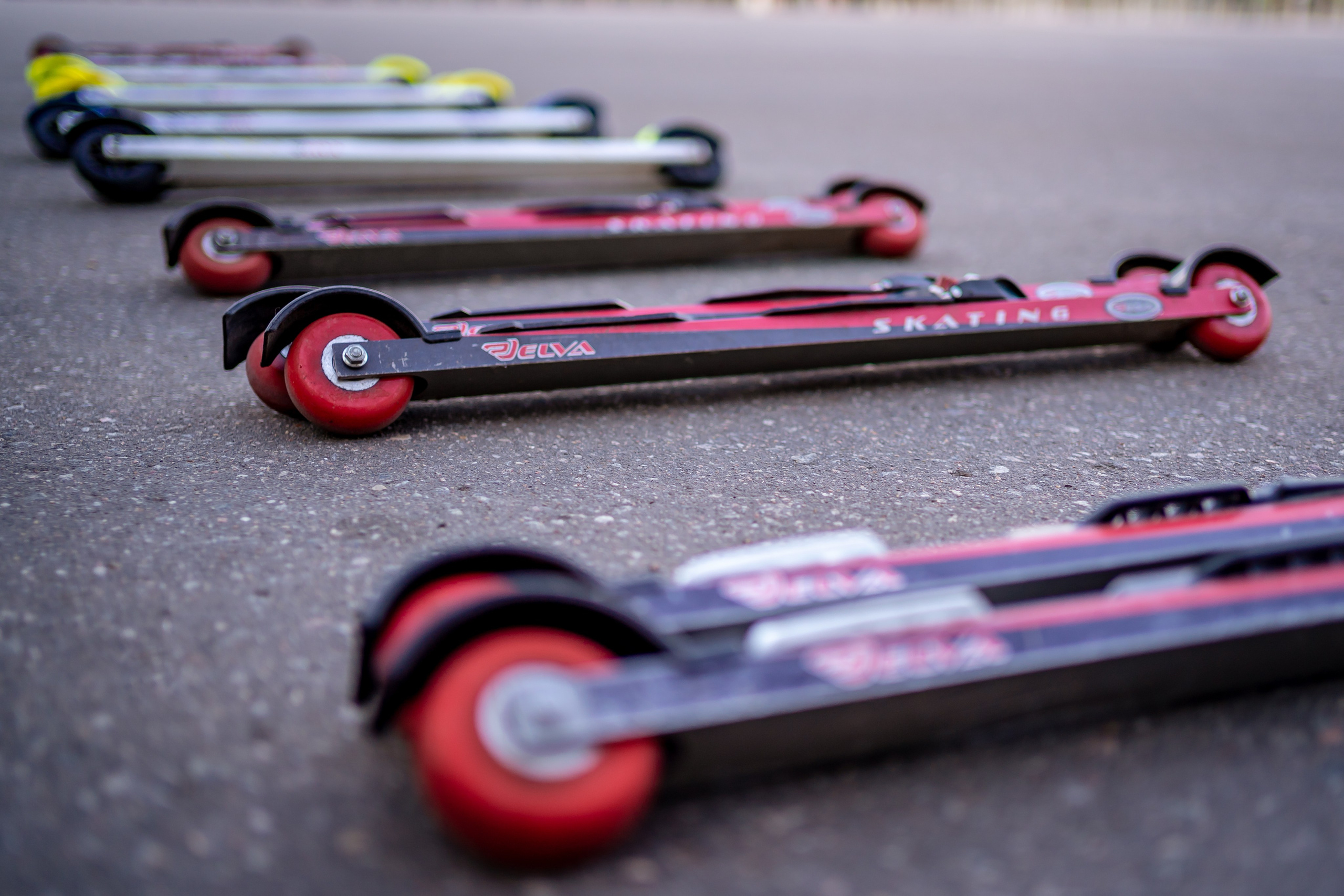 День Рождения GOLDFINCH. Семейный фотограф Варвара Сорока в городе Москве