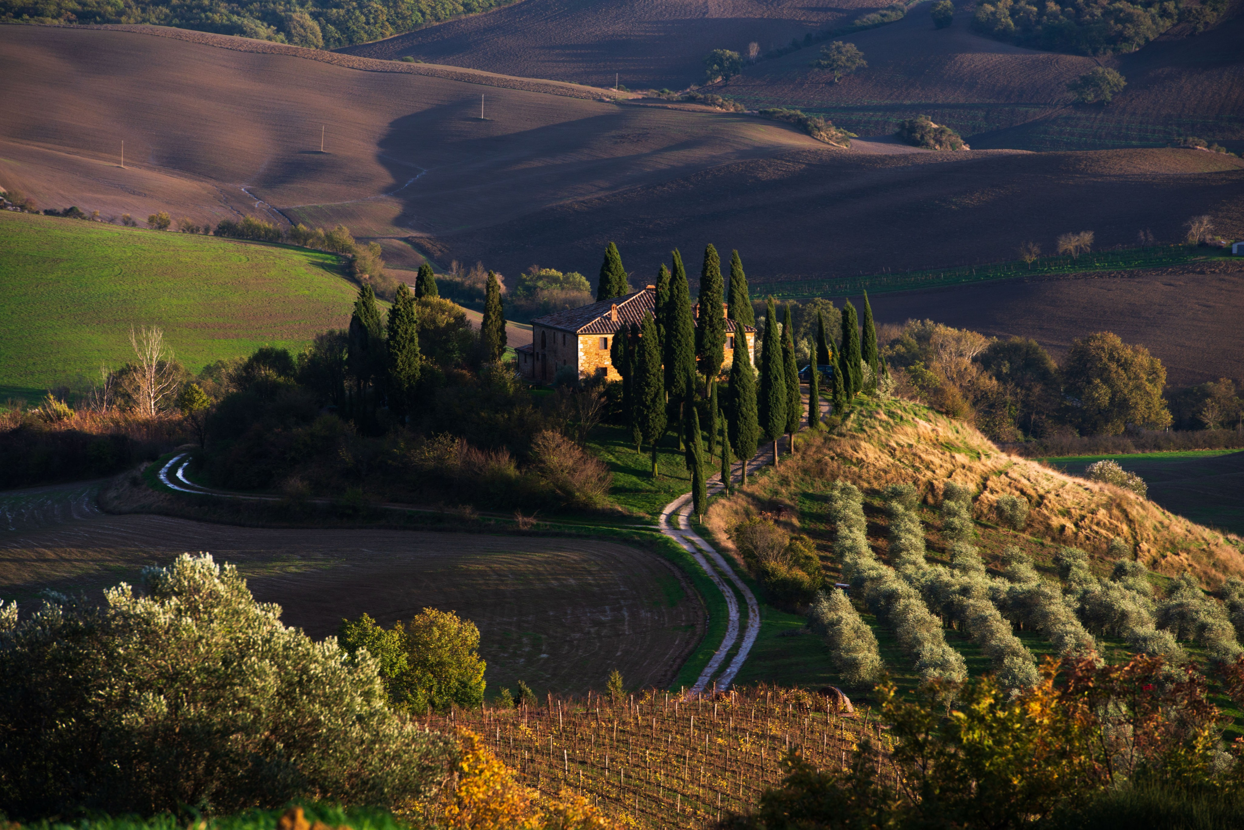 Классический тосканский пейзаж: вилла среди кипарисов и холмов в мягком закатном свете.