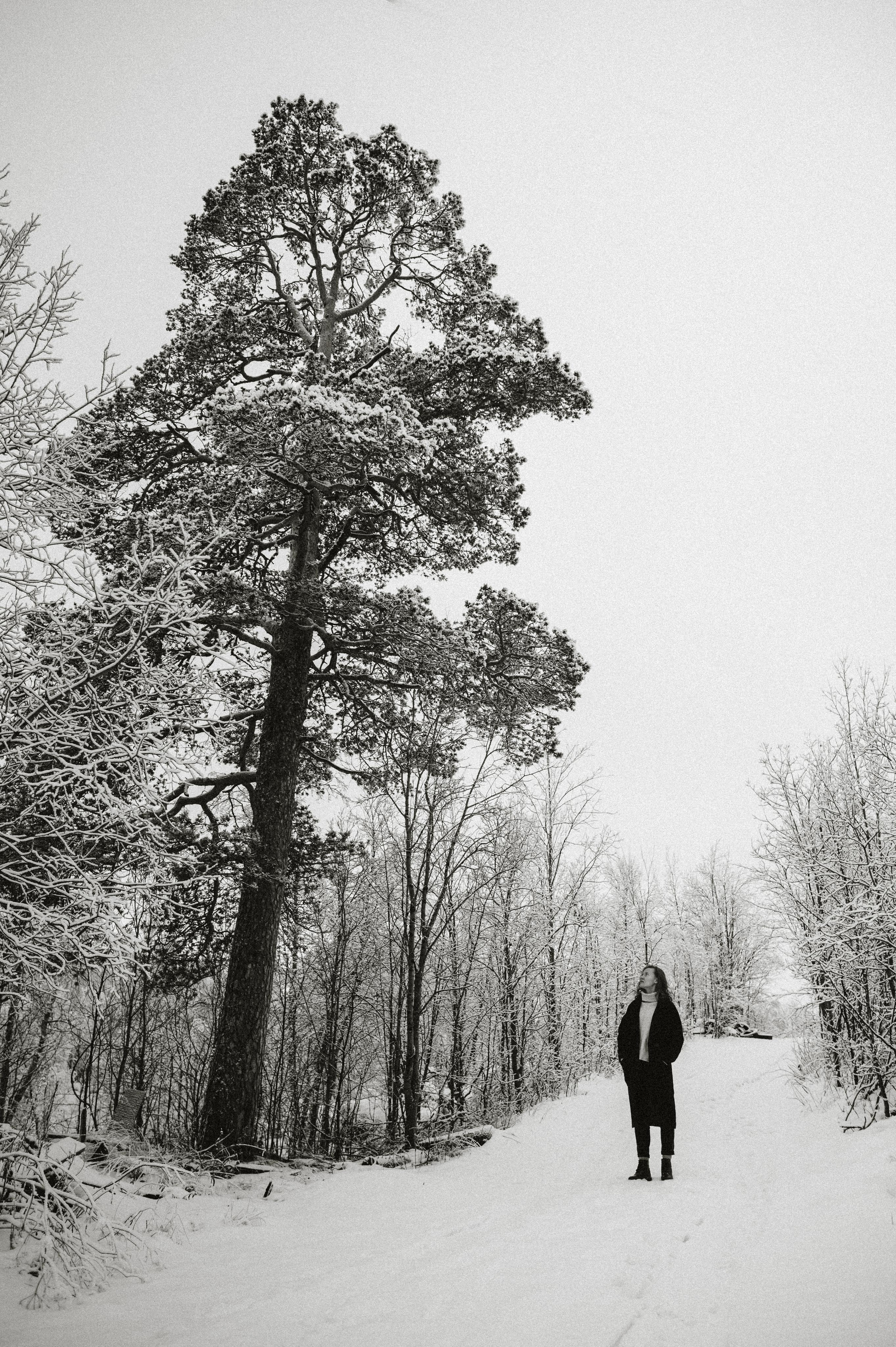 Наедине с собой. Фотограф Наталья Могилевская Мурманск Териберка Сейдозеро Рыбачий