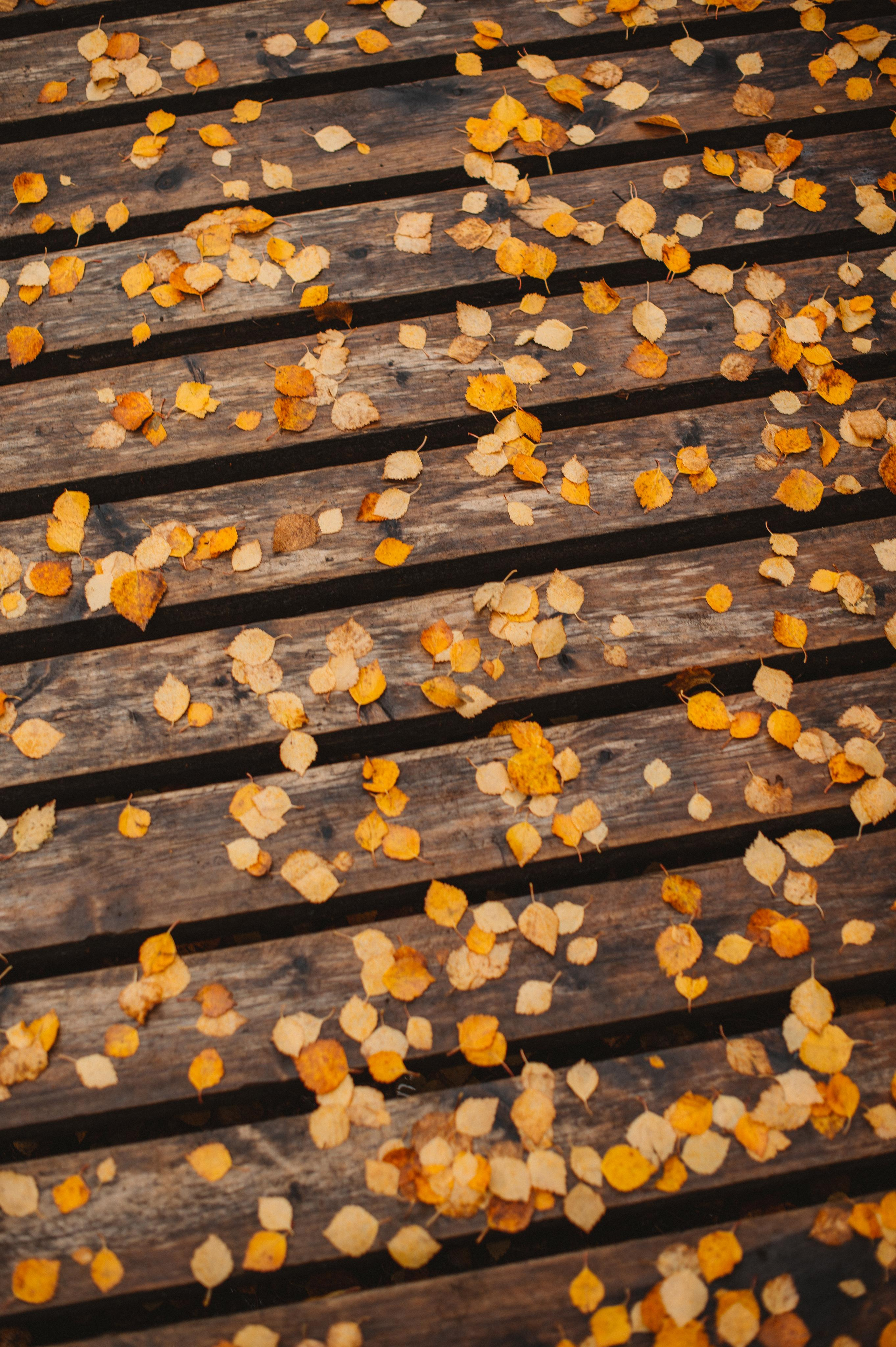 Сейдозеро. Путешествие к Куйве. Фотограф Наталья Могилевская Мурманск Териберка Сейдозеро Рыбачий