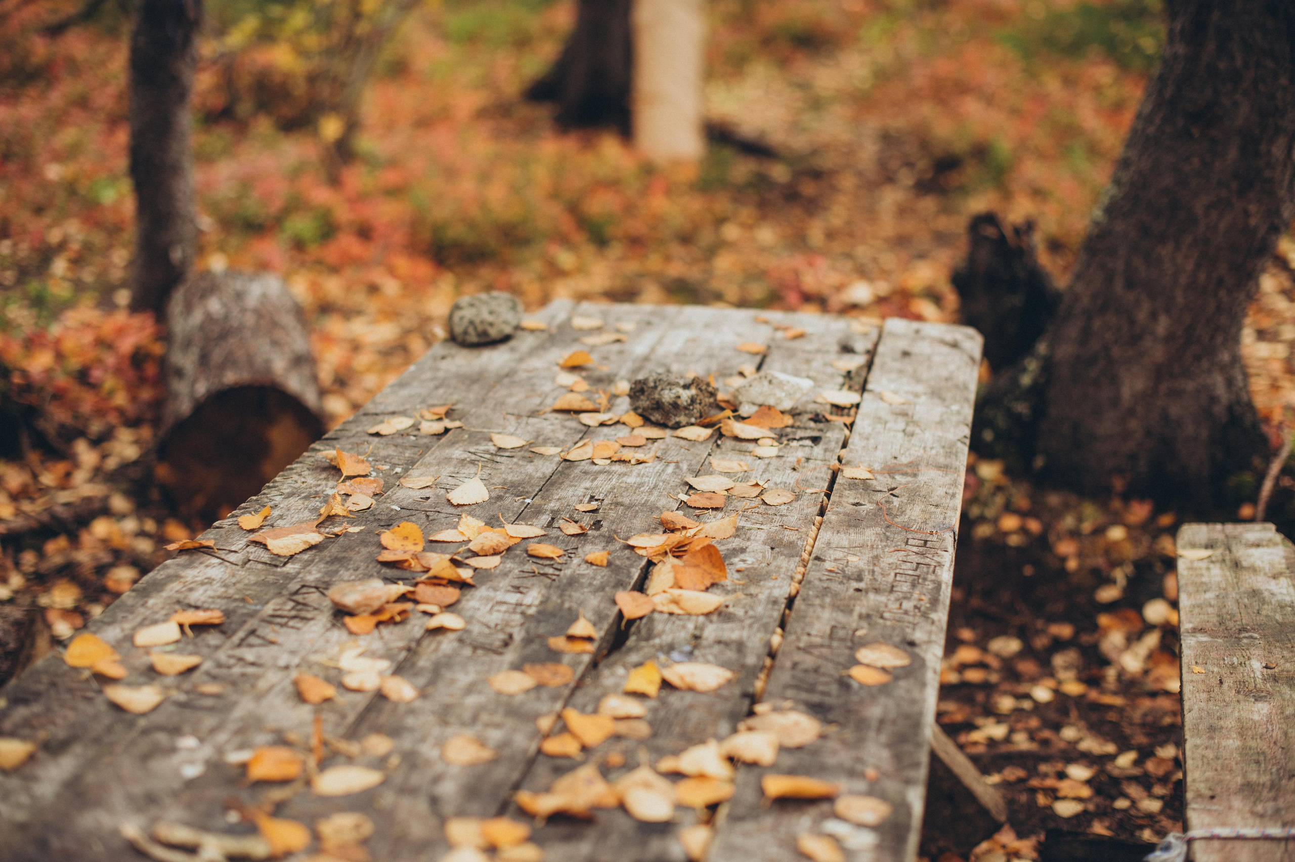 Сейдозеро. Путешествие к Куйве. Фотограф Наталья Могилевская Мурманск Териберка Сейдозеро Рыбачий