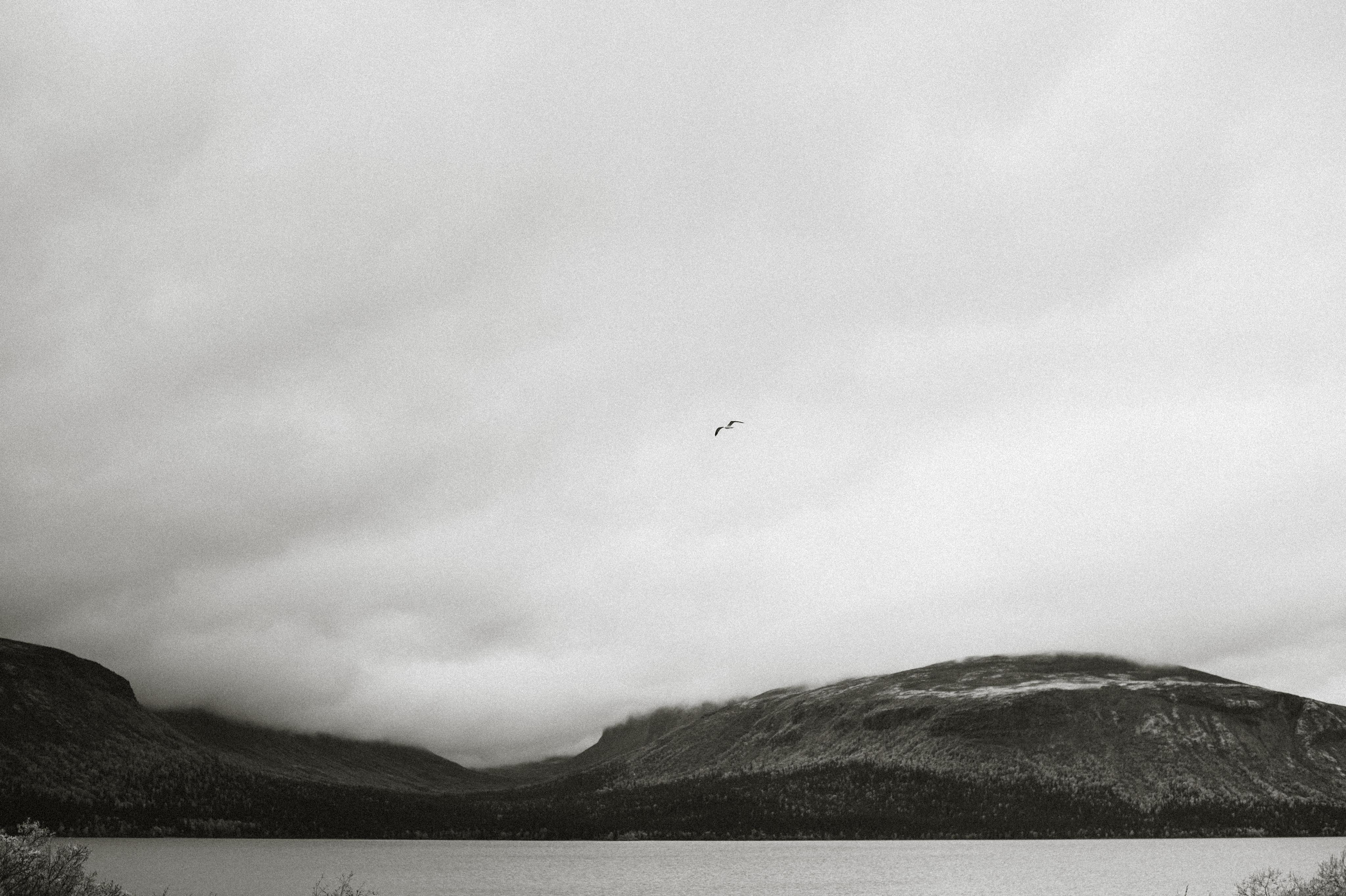 Сейдозеро. Надя. Фотограф Наталья Могилевская Мурманск Териберка Сейдозеро Рыбачий