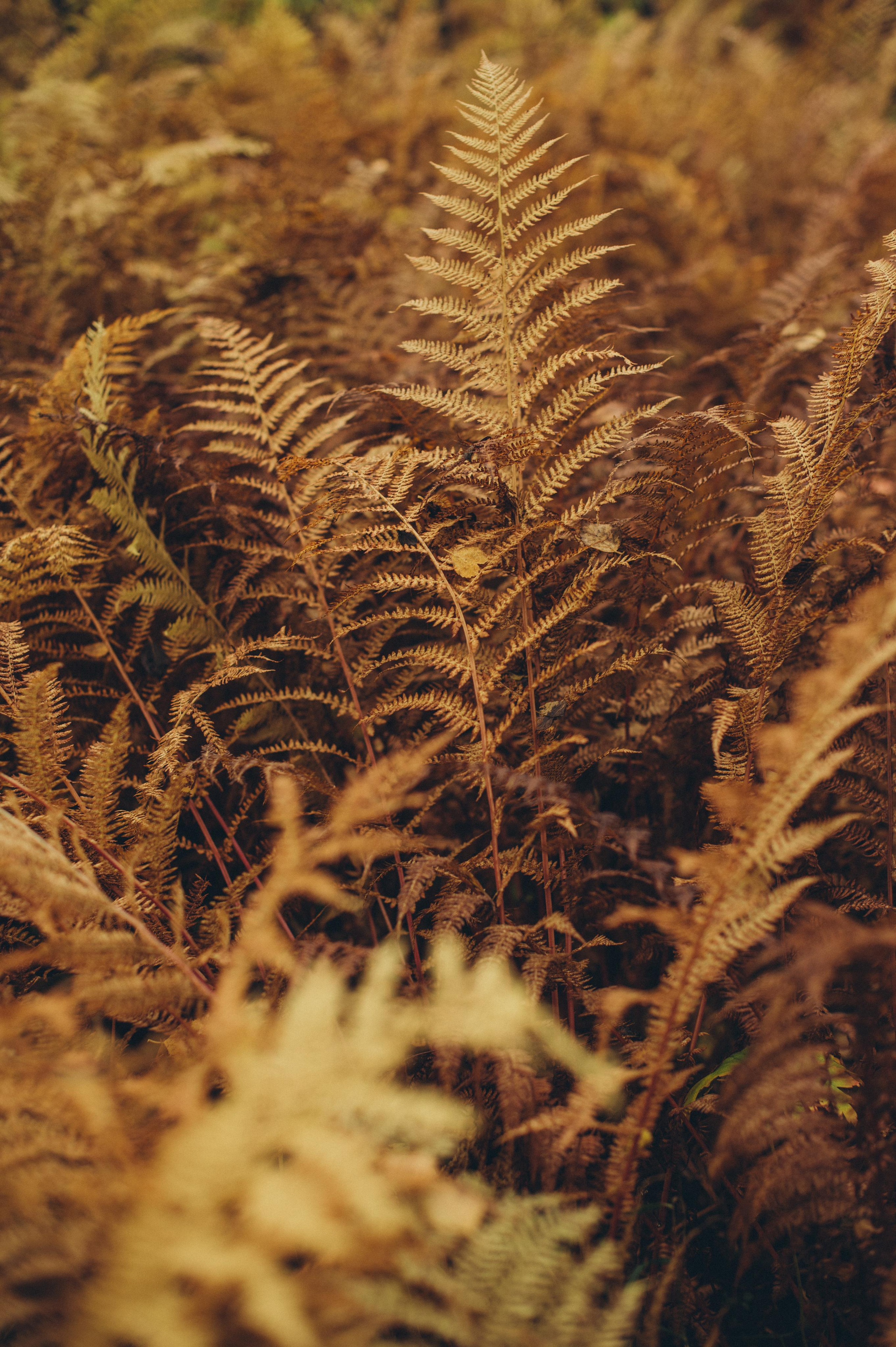 Сейдозеро. Надя. Фотограф Наталья Могилевская Мурманск Териберка Сейдозеро Рыбачий