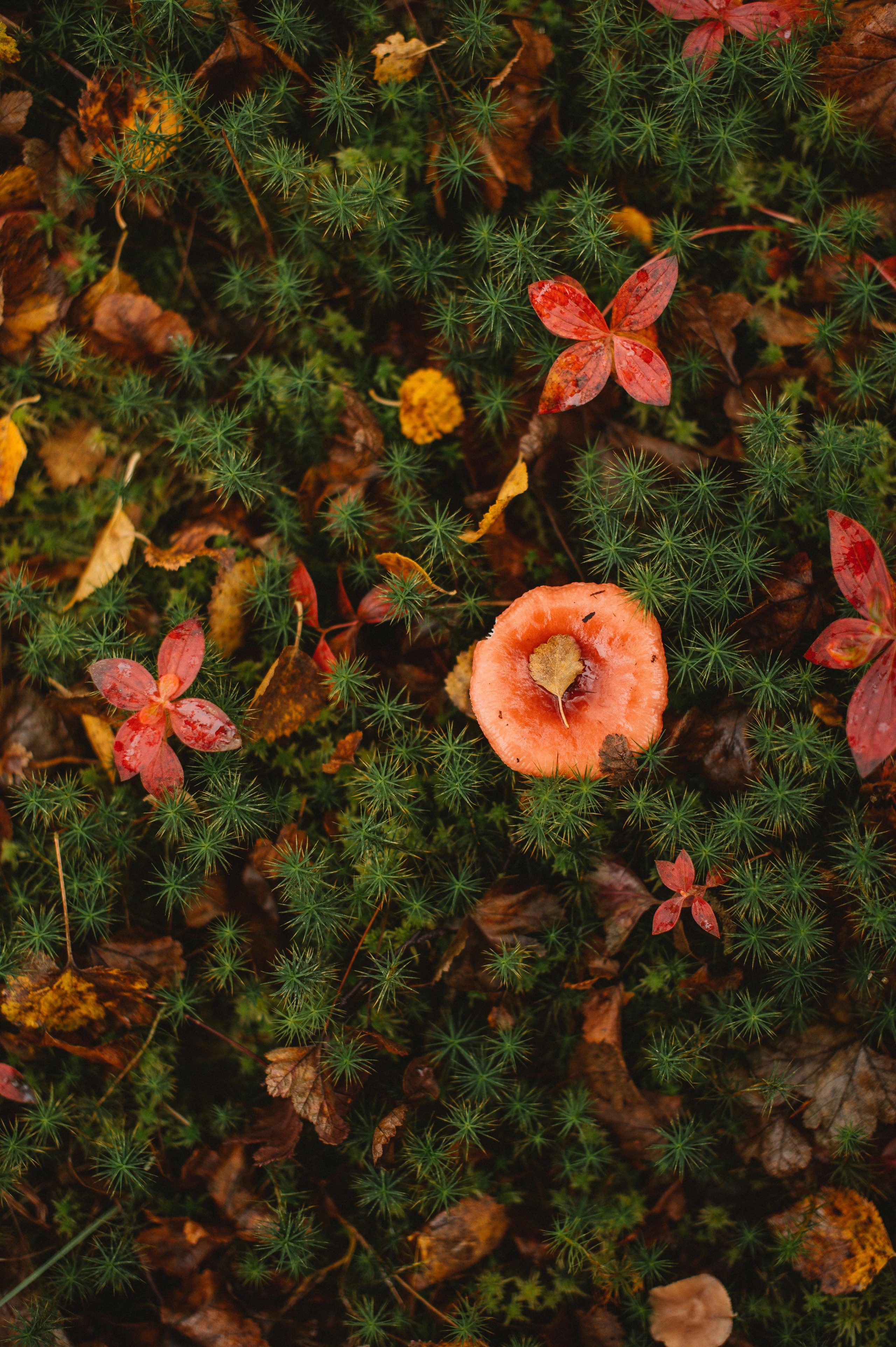 Сейдозеро. Путешествие к Куйве. Фотограф Наталья Могилевская Мурманск Териберка Сейдозеро Рыбачий