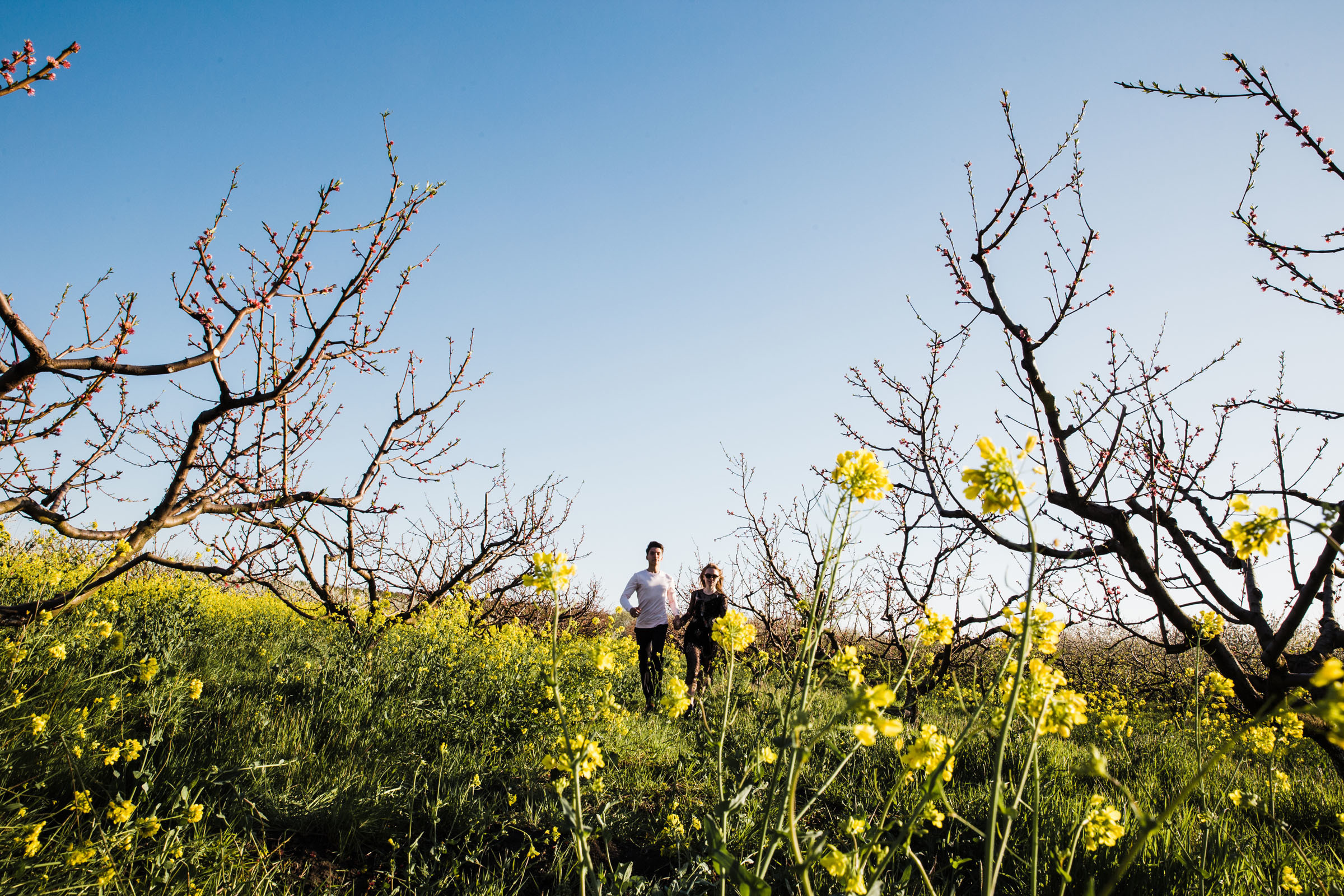 В дни вечной весны //Илья&Наталья. Фотограф Алутера Ирина