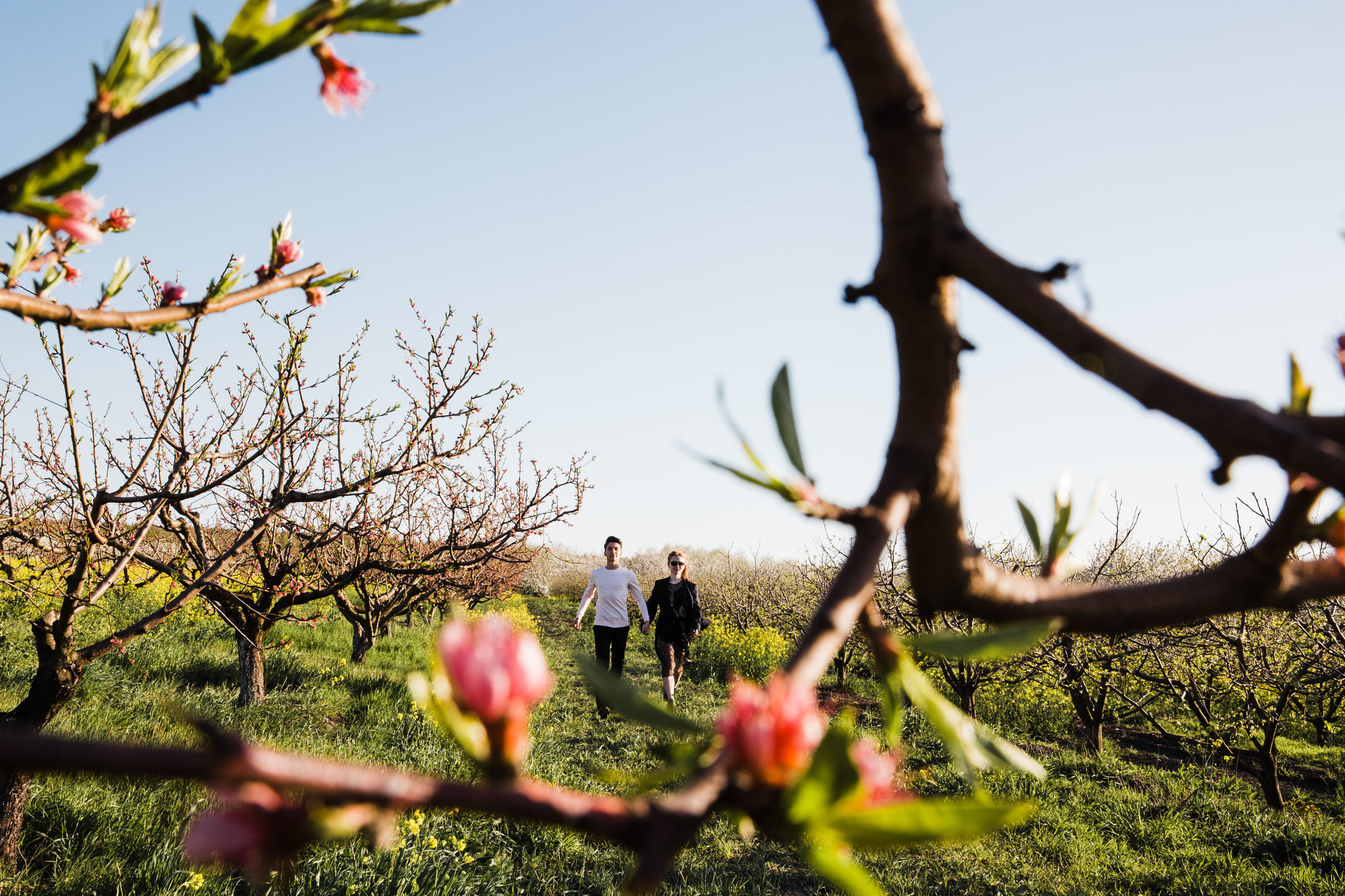 В дни вечной весны //Илья&Наталья. Фотограф Алутера Ирина