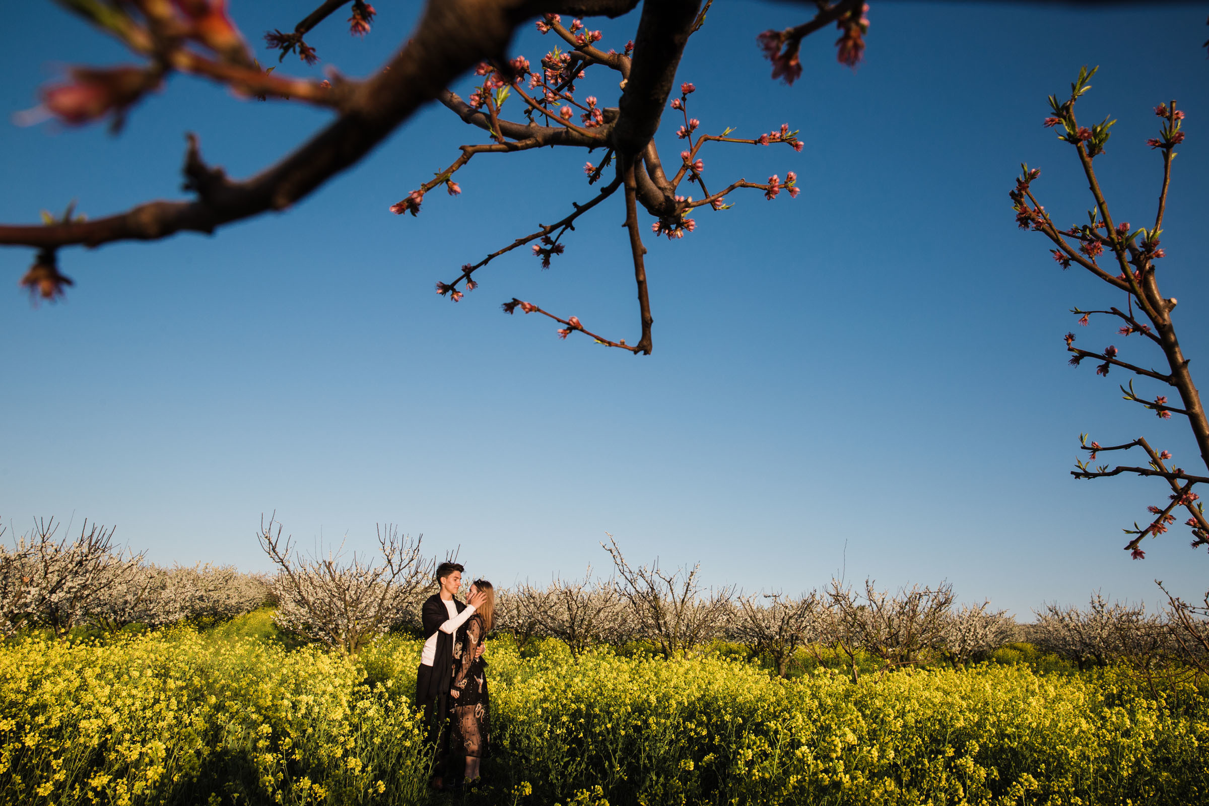 В дни вечной весны //Илья&Наталья. Фотограф Алутера Ирина