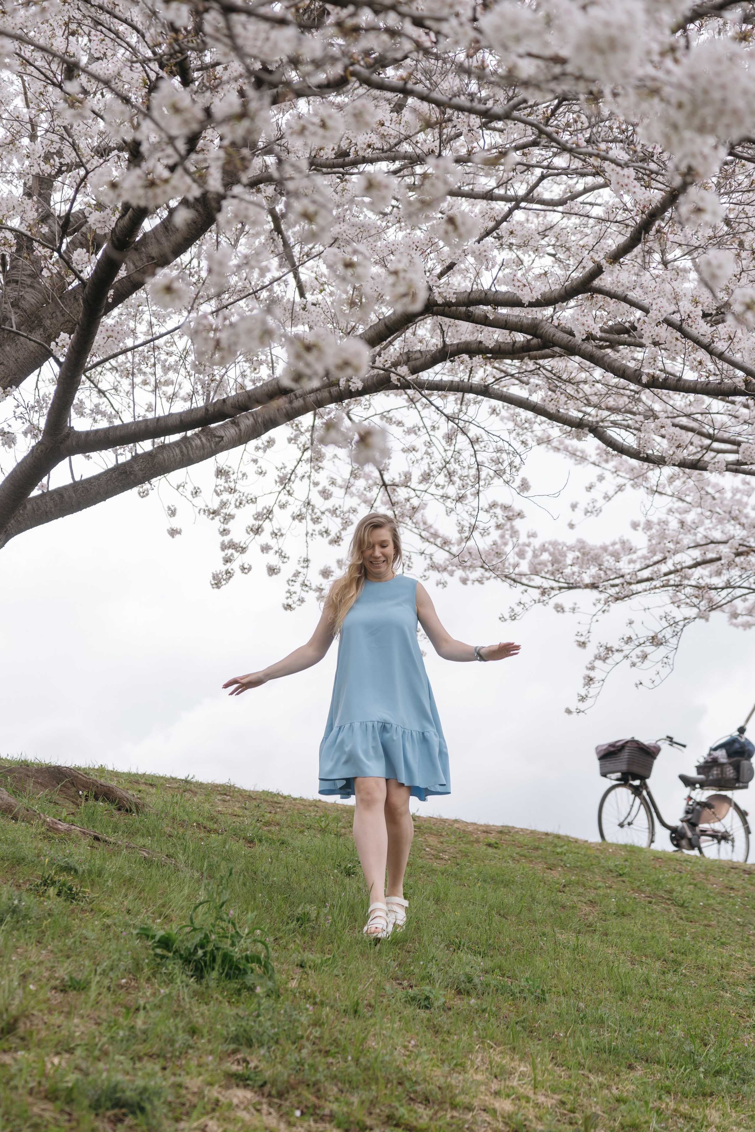 Sakura. Фотограф Алина Диева Москва | Токио