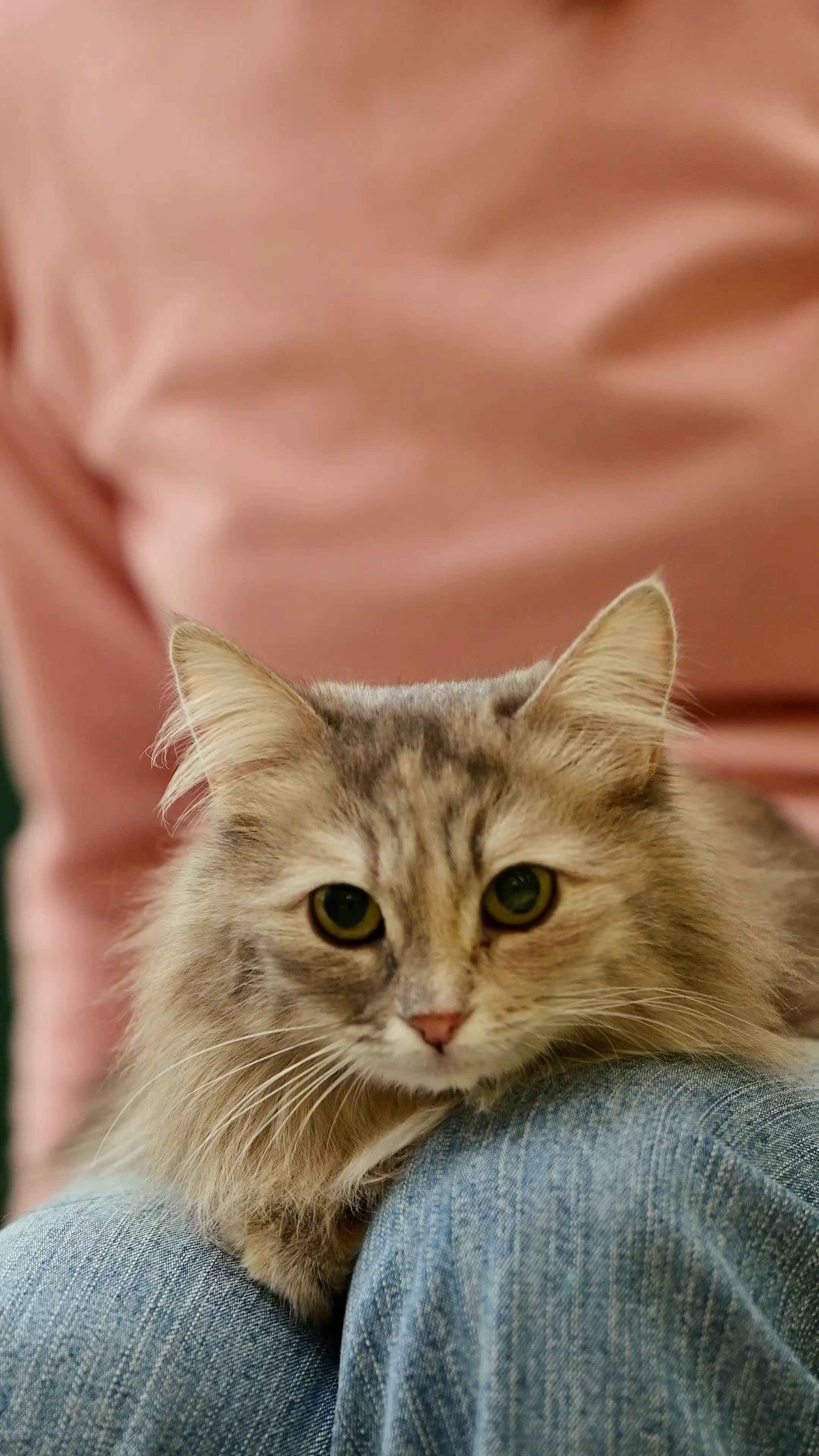 Съёмка для волонтёров (видео). Мила Астахова