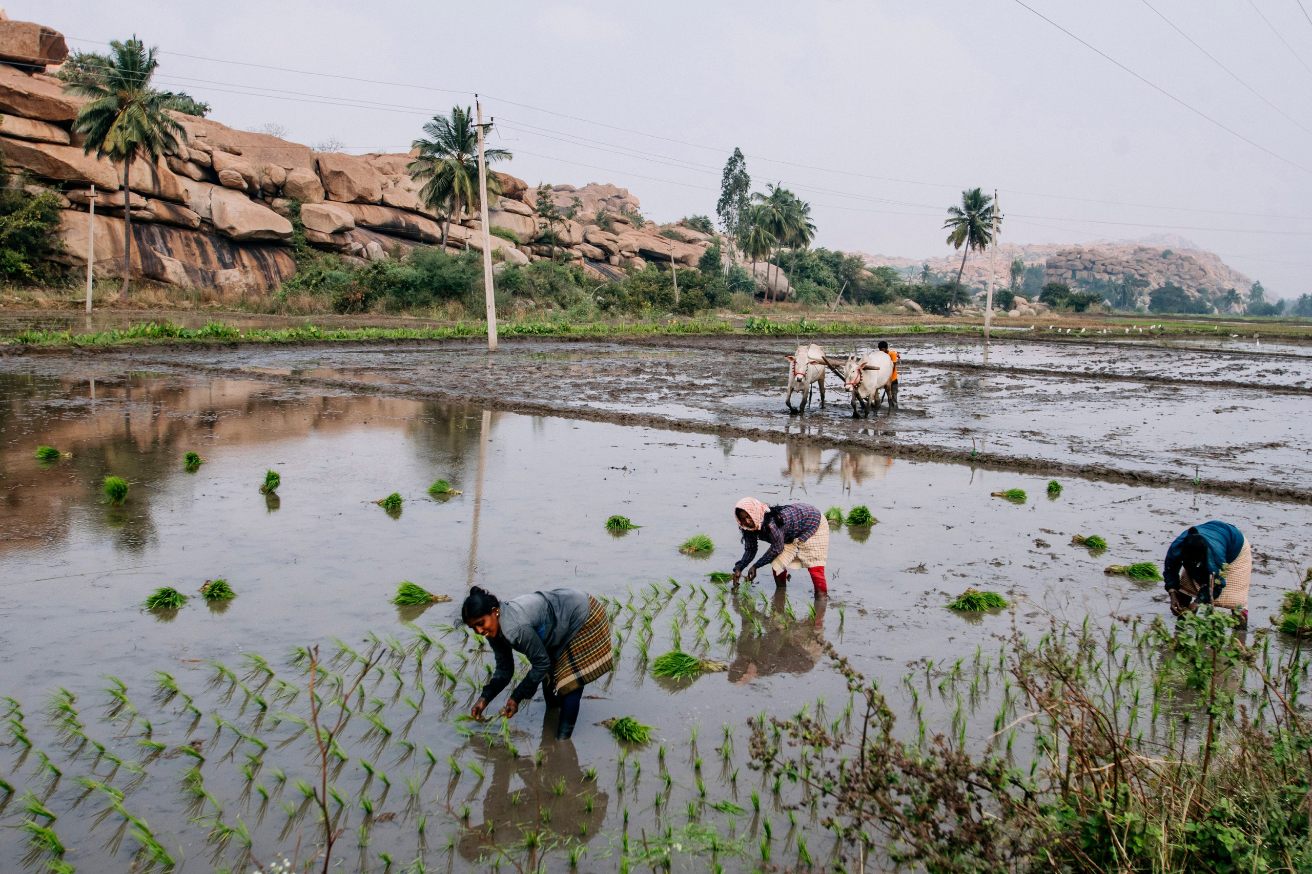 Hampi street. Iraogo