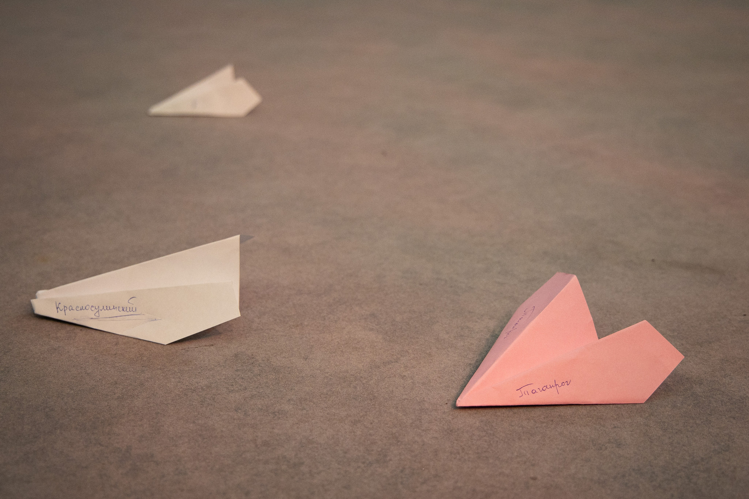 Форум молодых организаторов выборов Ростовской области. Анна Рышкевич