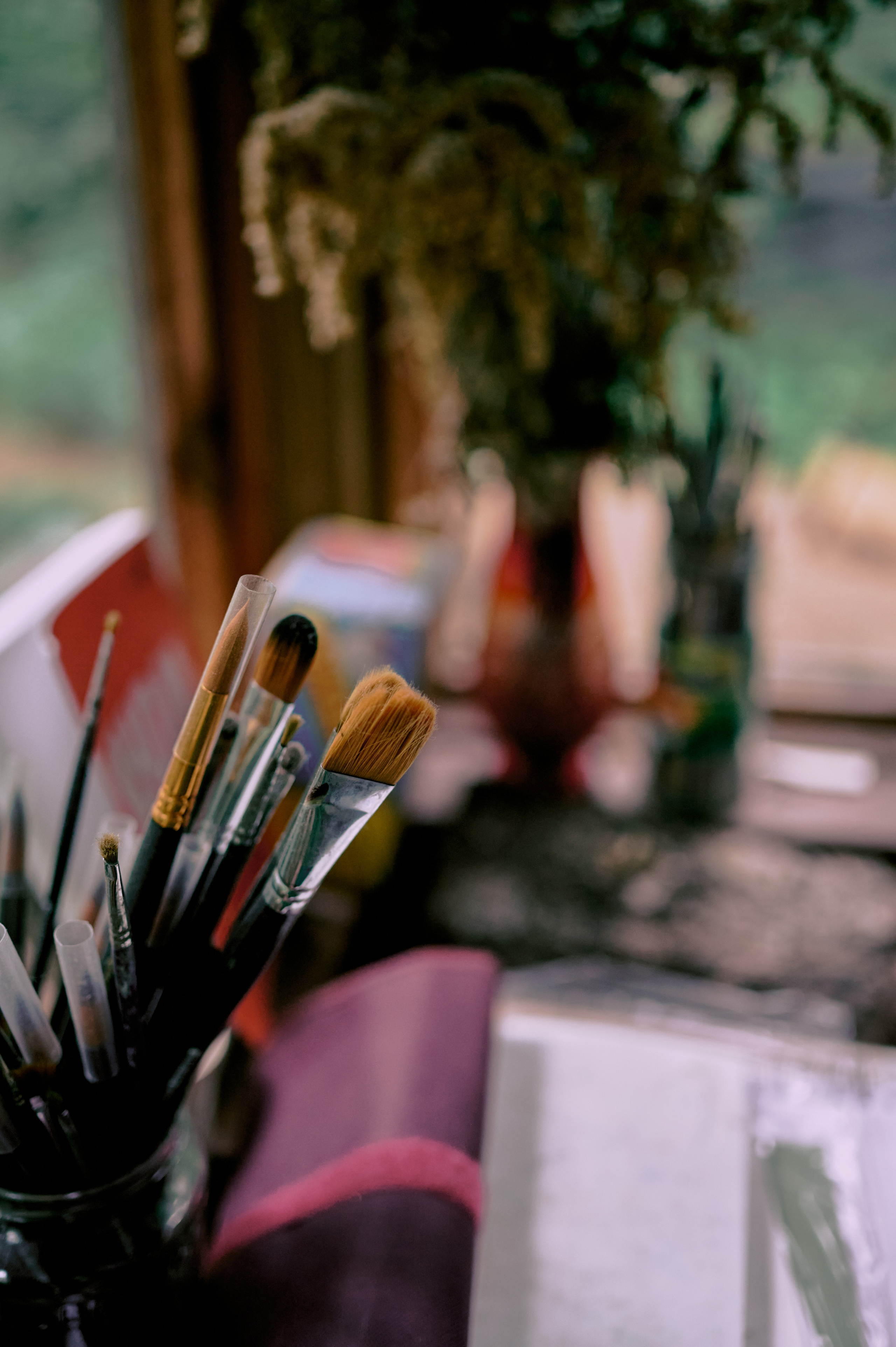 Настасья. В мастерской художника. Фотограф анималист в Казани Алина Сулейманова. Фотограф животных