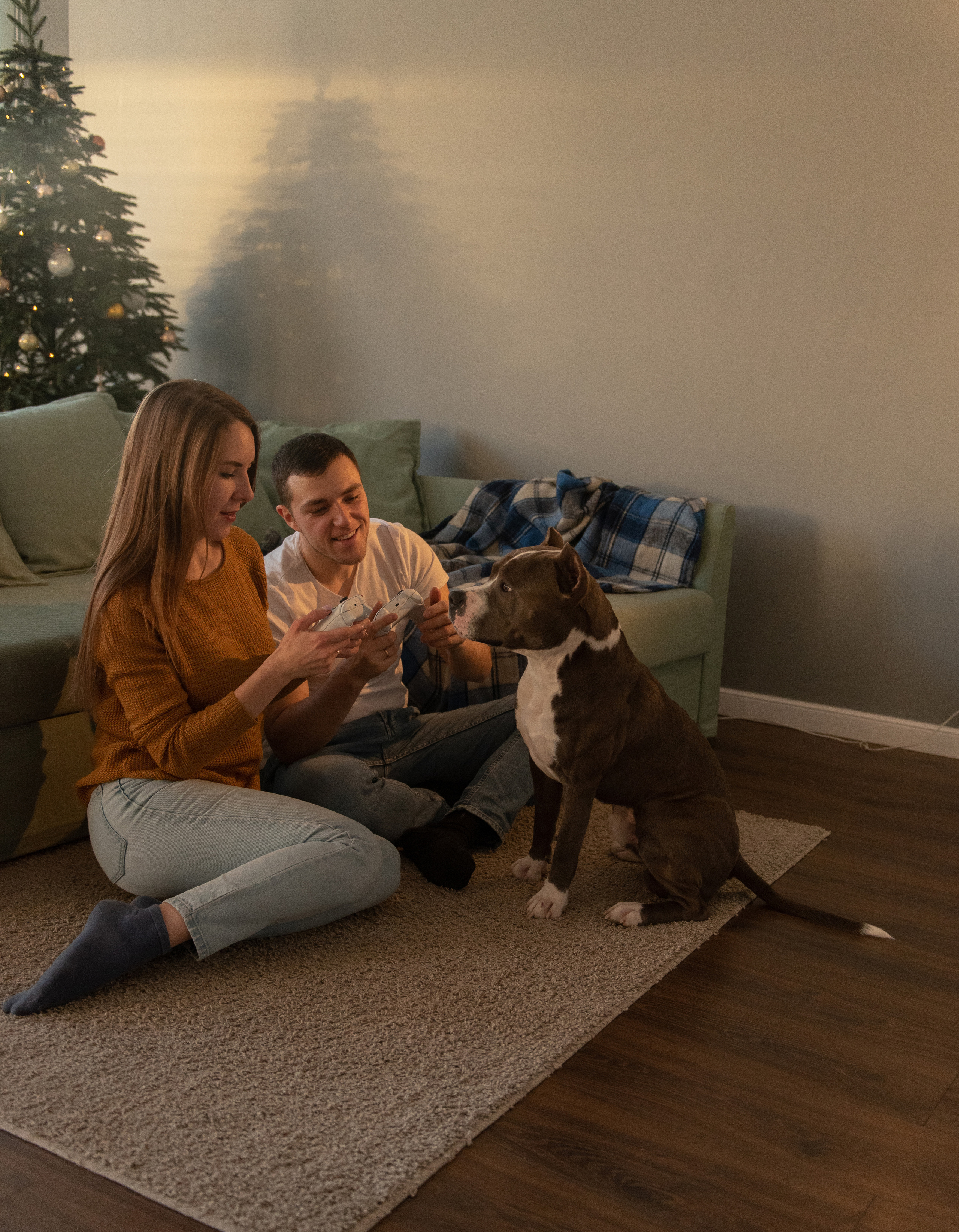 Ирина, Марат и Ричард. Фотограф анималист в Казани Алина Сулейманова. Фотограф животных