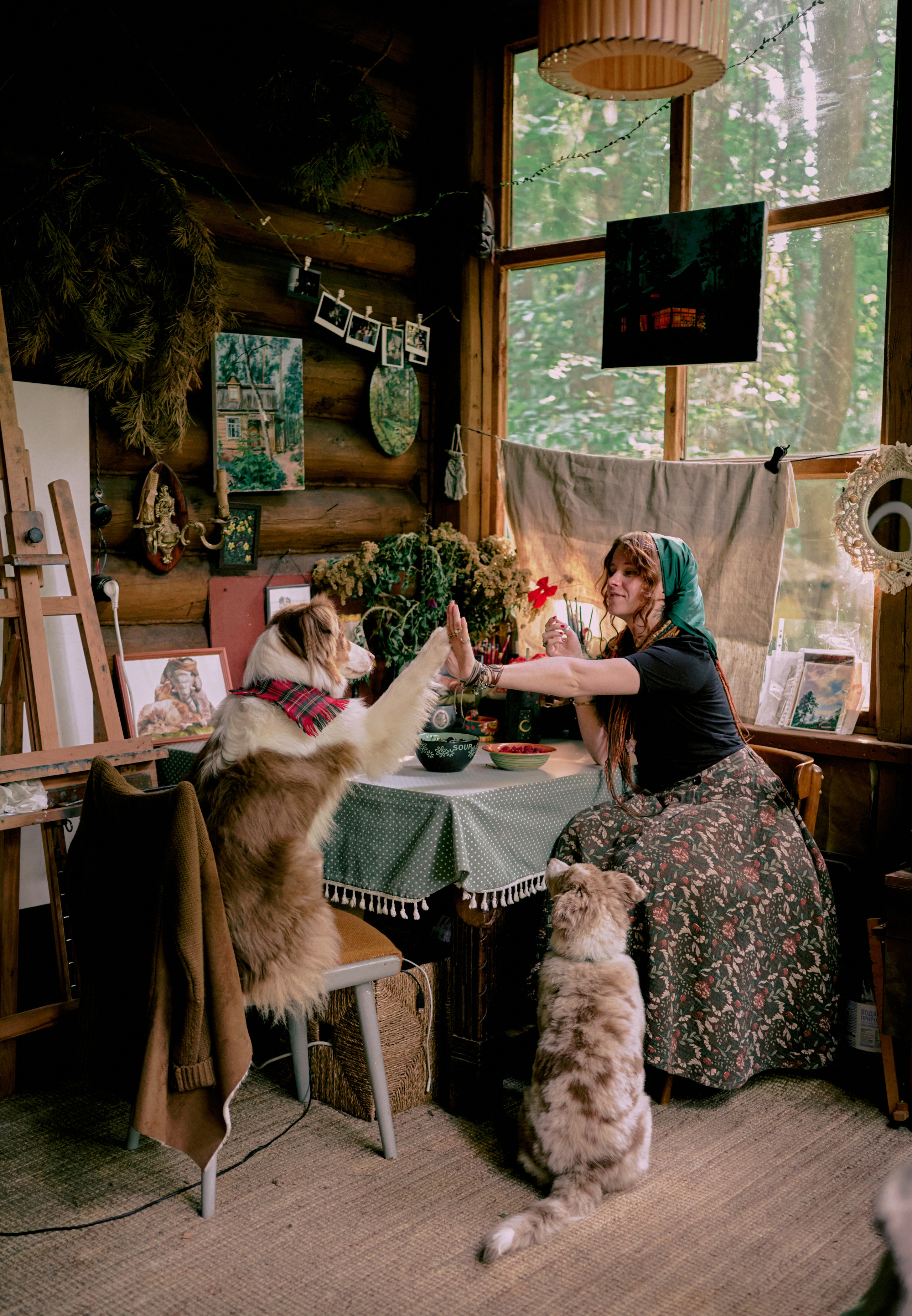 Настасья. В мастерской художника. Фотограф анималист в Казани Алина Сулейманова. Фотограф животных