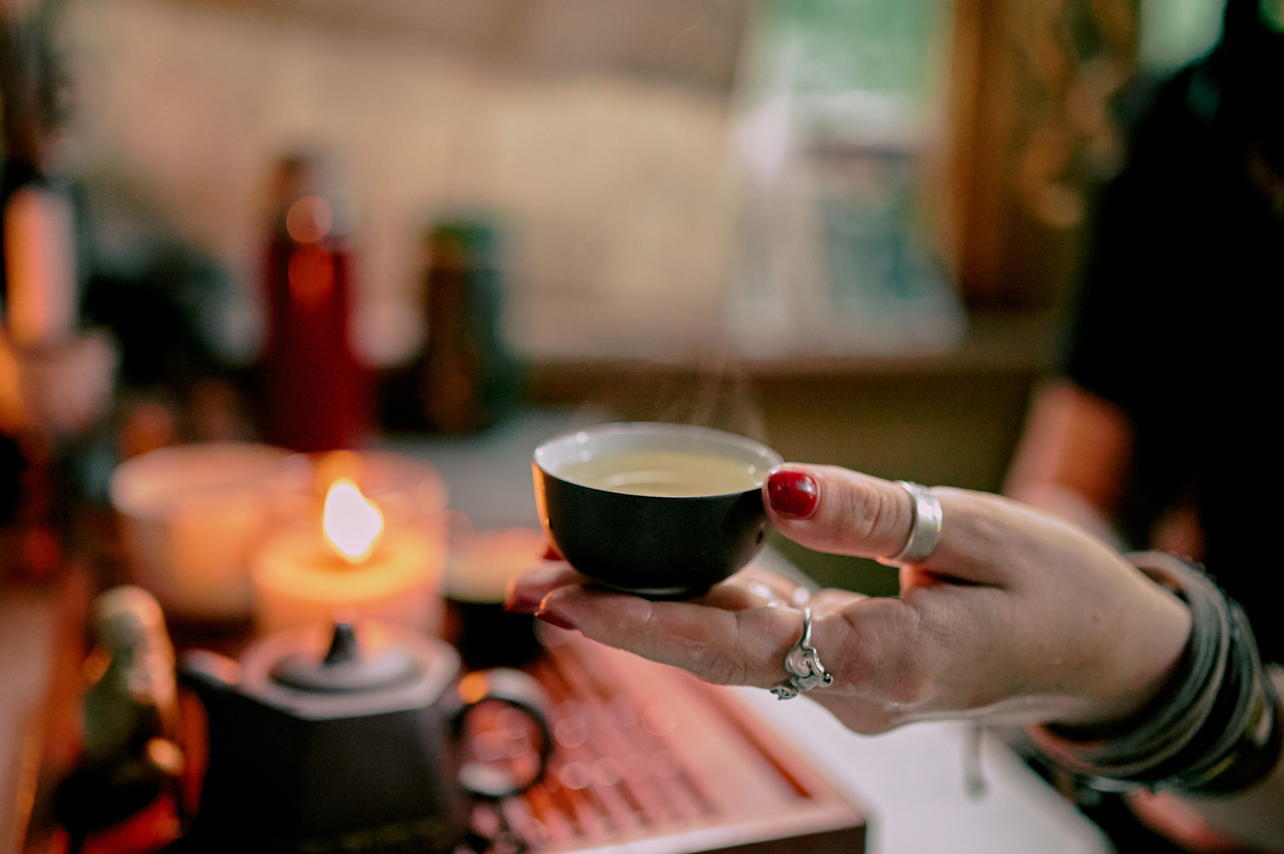 Настасья. В мастерской художника. Фотограф анималист в Казани Алина Сулейманова. Фотограф животных