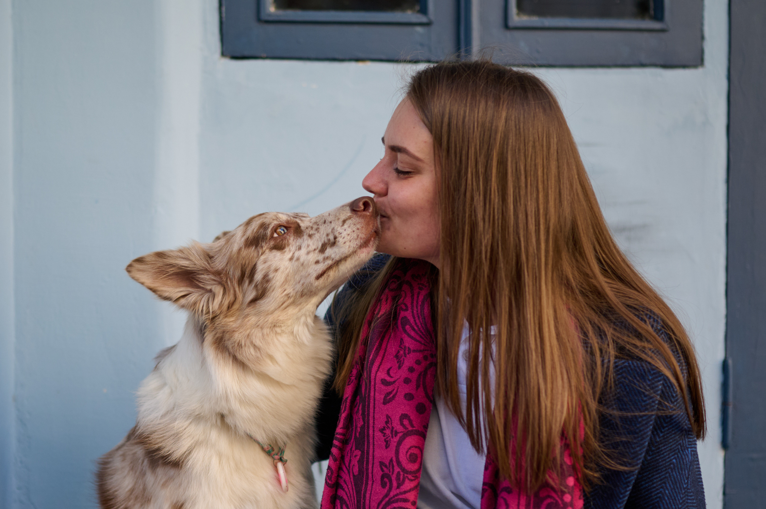 Полина и Бени. Фотограф анималист в Казани Алина Сулейманова. Фотограф животных