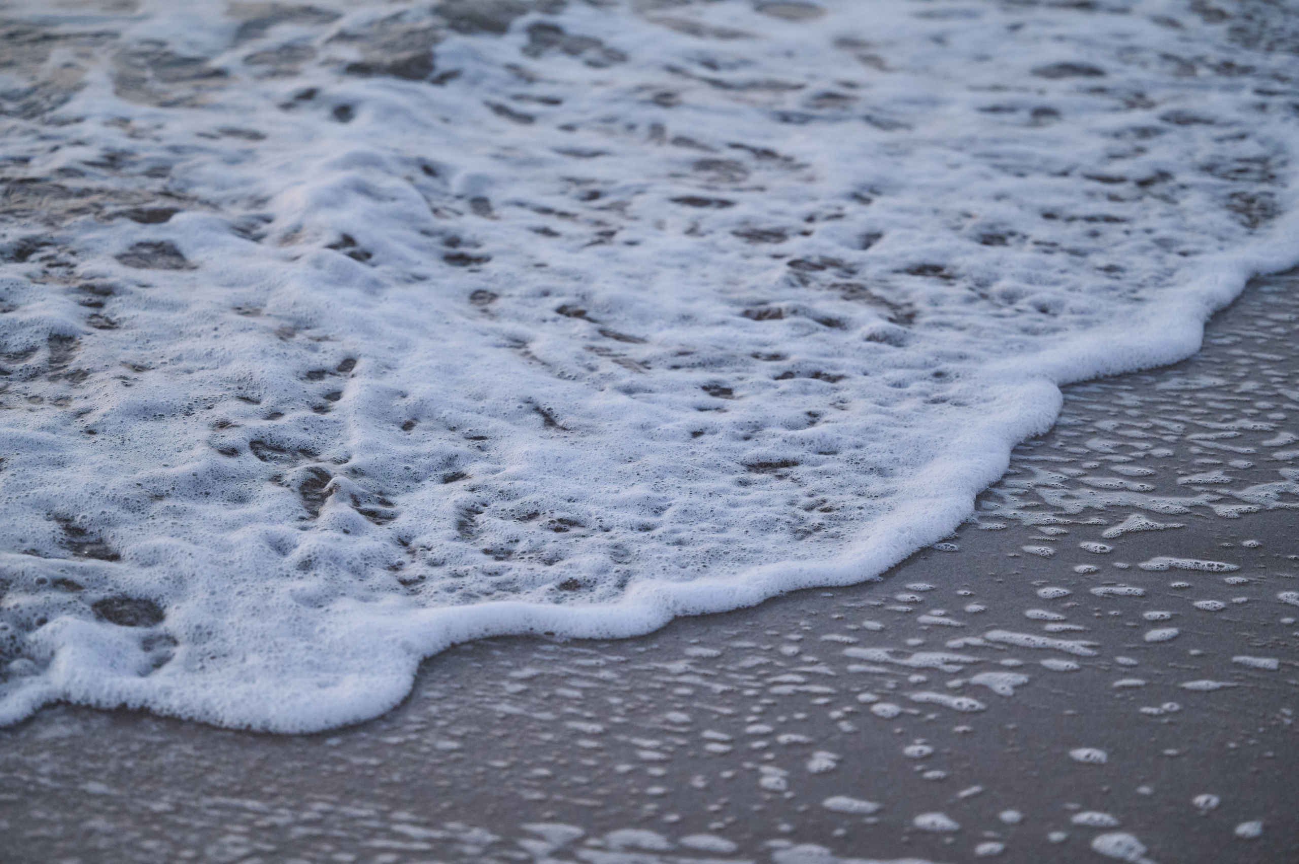 Мария и Декс, на берегу моря. Фотограф анималист в Казани Алина Сулейманова. Фотограф животных