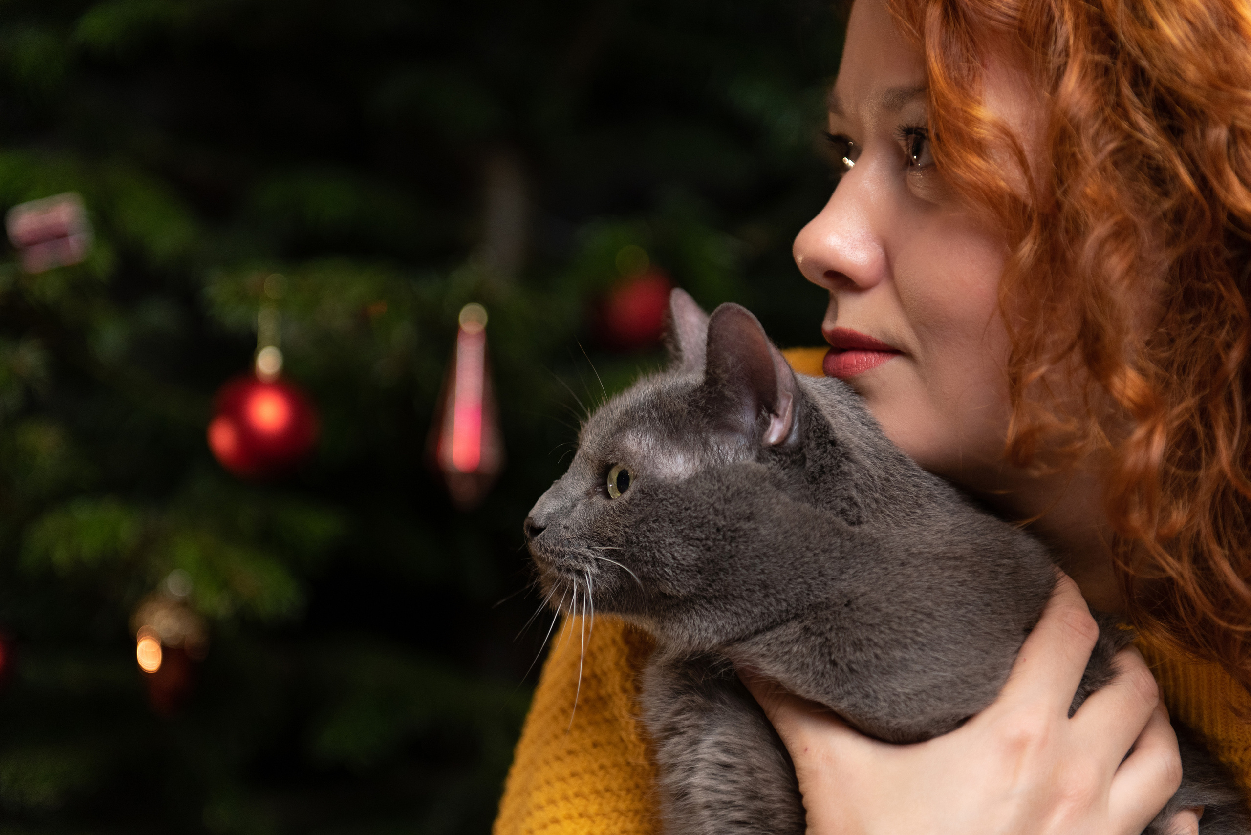 Света, Ратмир и Фунтик. Фотограф анималист в Казани Алина Сулейманова. Фотограф животных