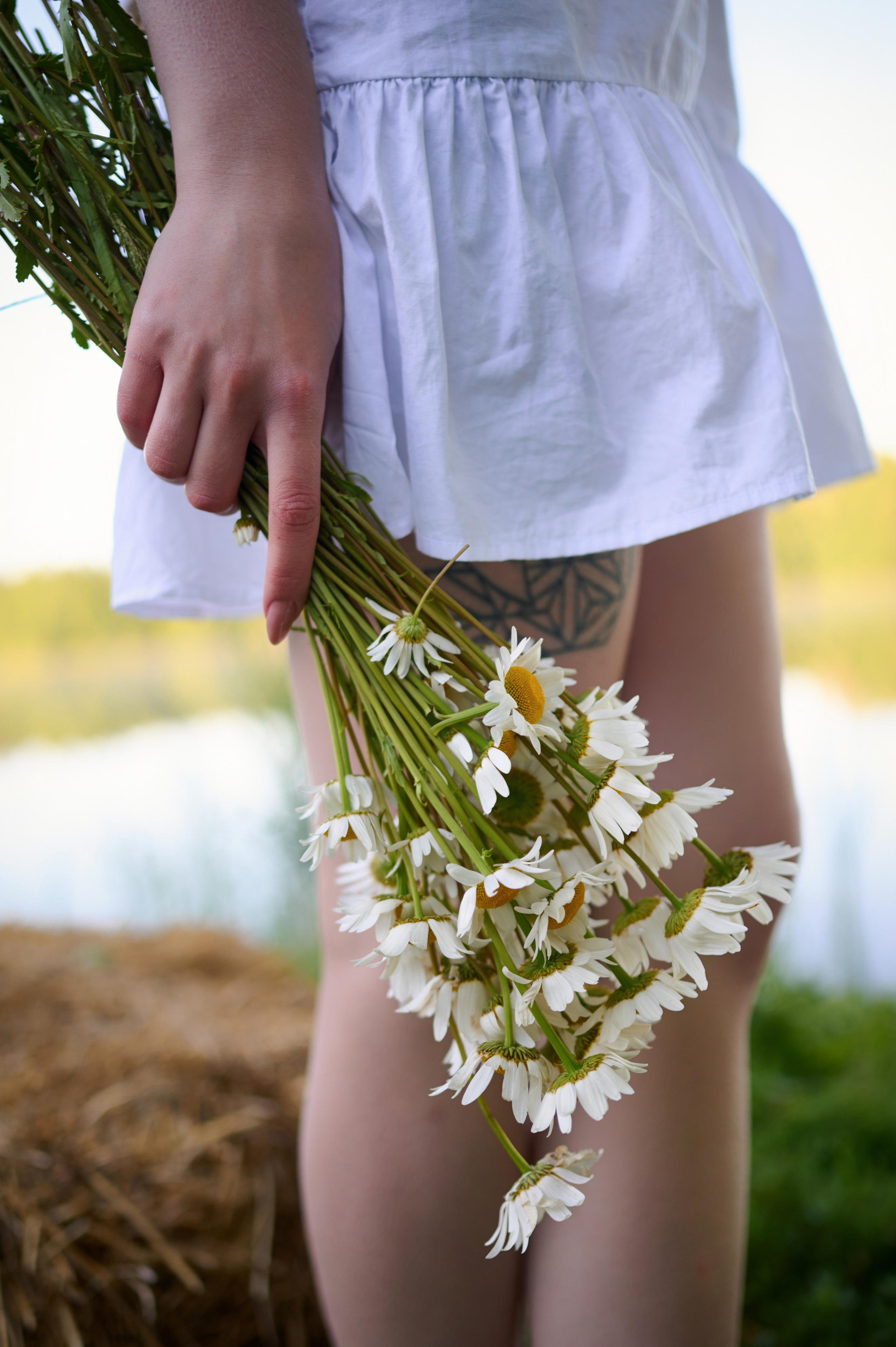 Екатерина. На заре. Фотограф анималист в Казани Алина Сулейманова. Фотограф животных