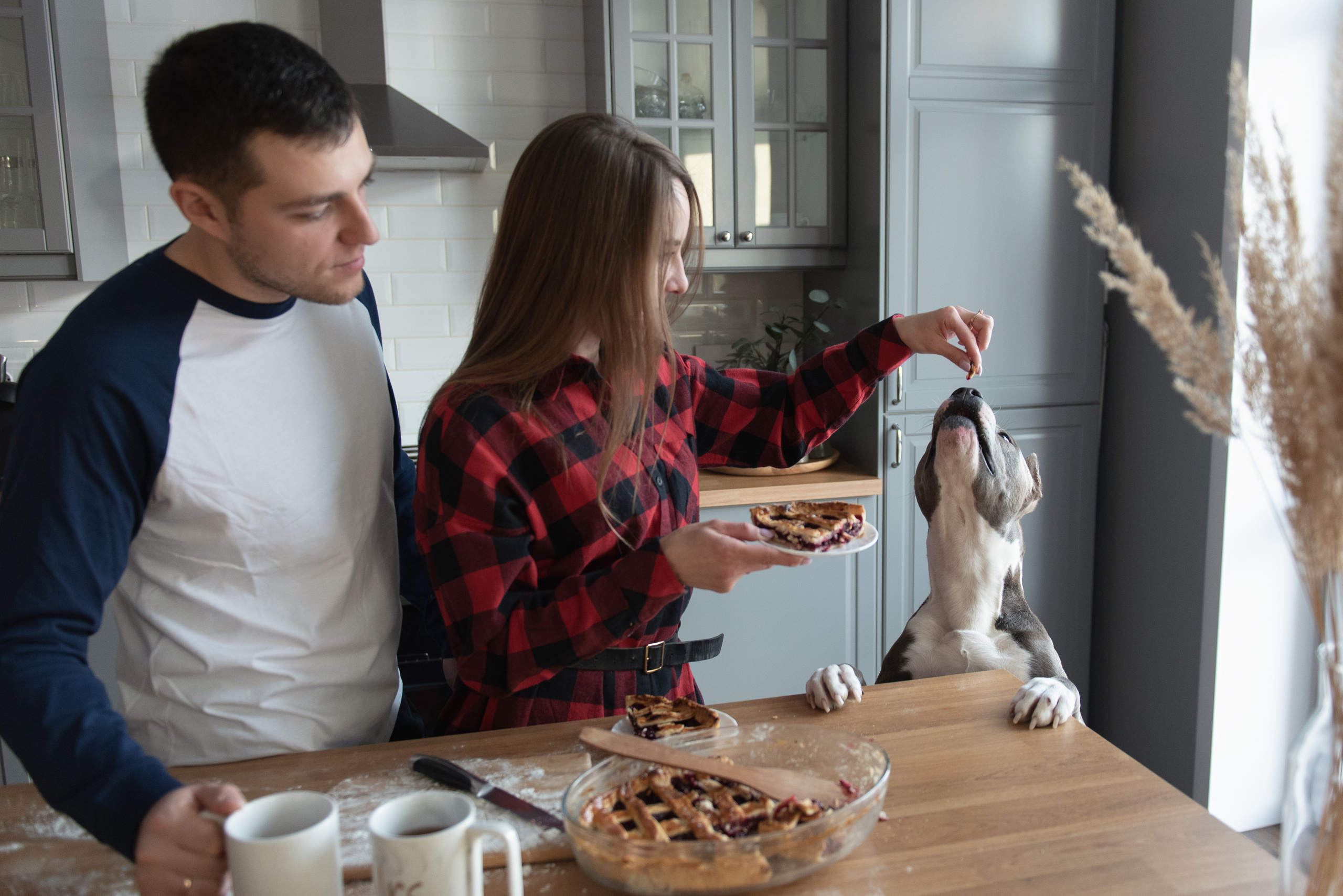 Ирина, Марат и Ричард. Фотограф анималист в Казани Алина Сулейманова. Фотограф животных
