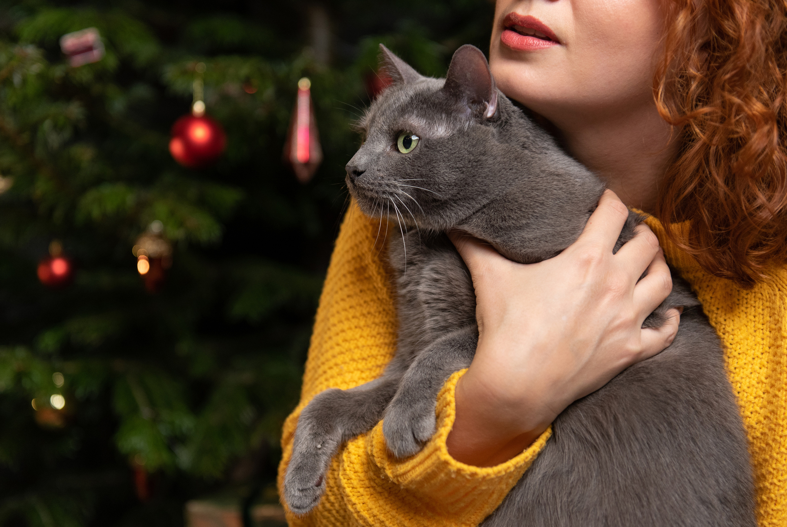 Света, Ратмир и Фунтик. Фотограф анималист в Казани Алина Сулейманова. Фотограф животных