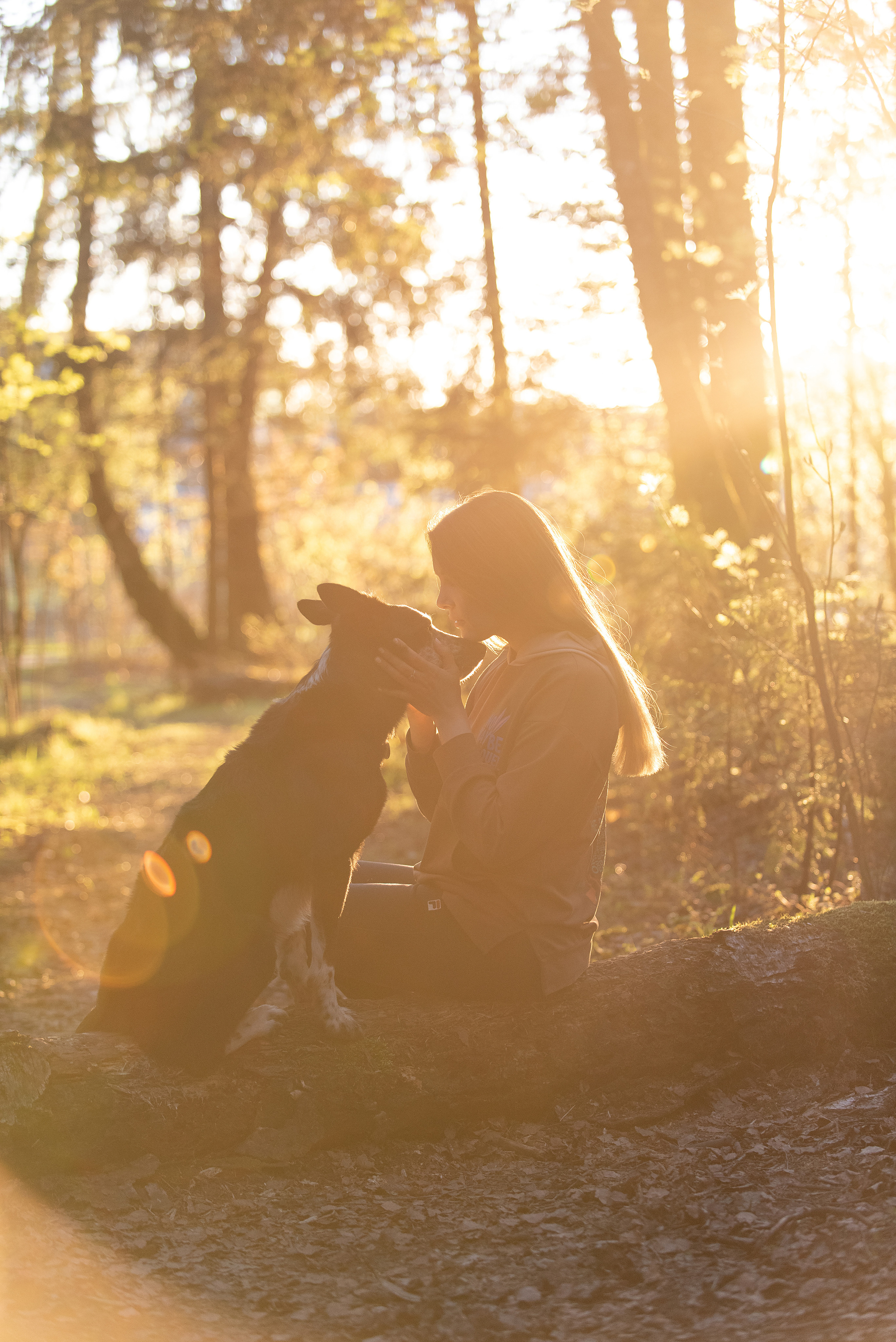 Анна и Милан. Фотограф анималист в Казани Алина Сулейманова. Фотограф животных