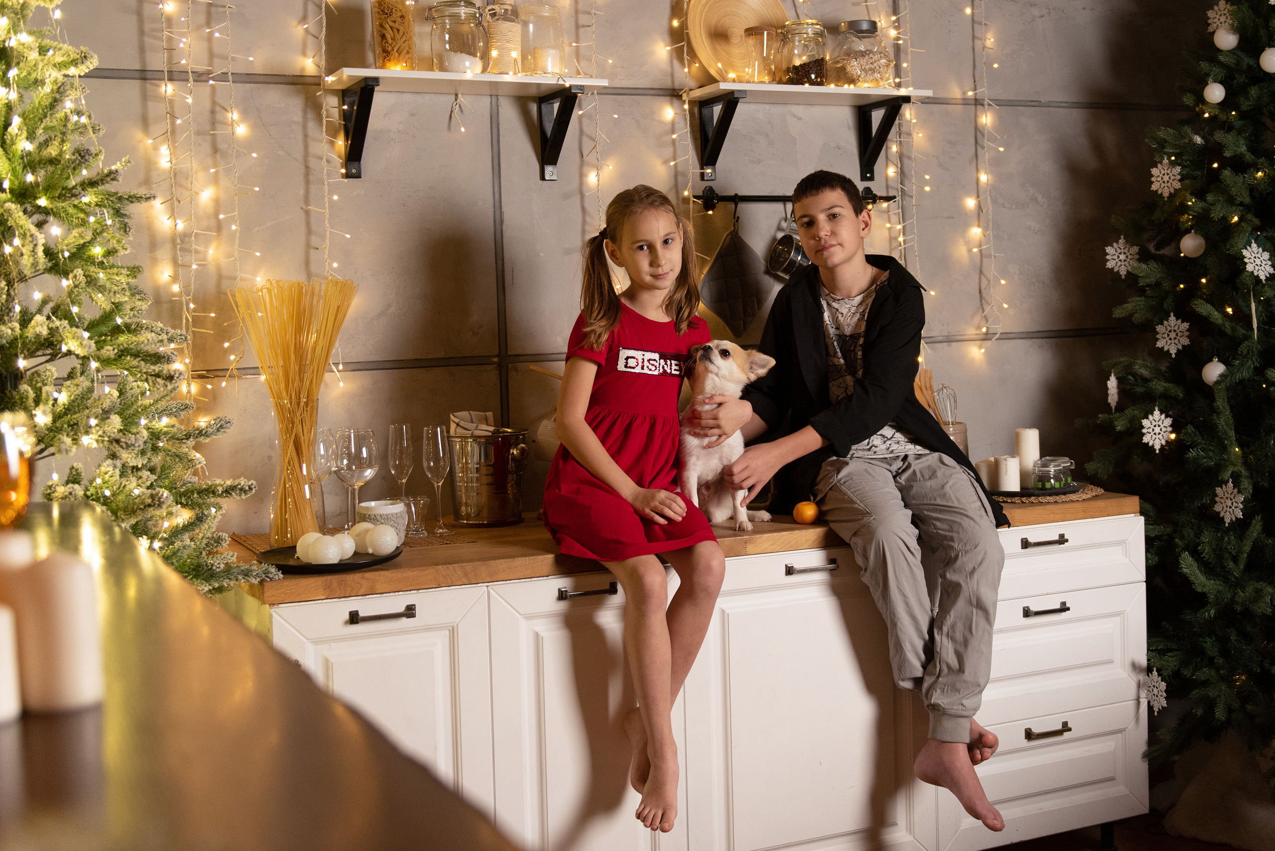 Аделя и её семья. Фотограф анималист в Казани Алина Сулейманова. Фотограф животных