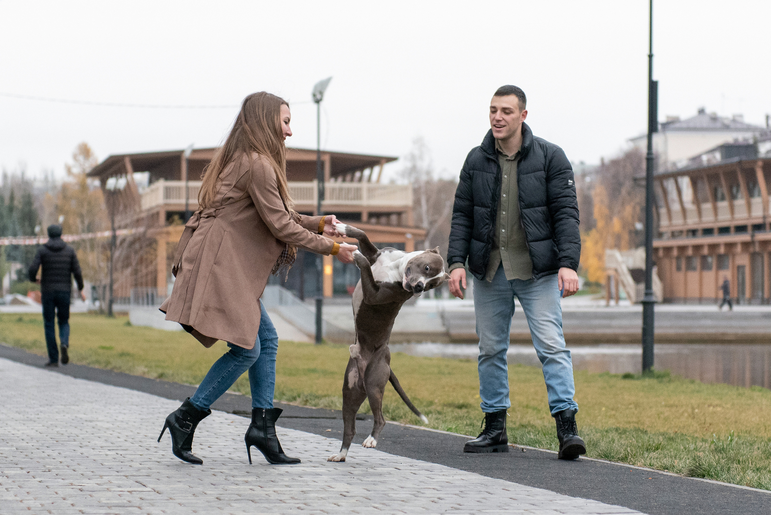Ирина, Марат и Ричи. Фотограф анималист в Казани Алина Сулейманова. Фотограф животных