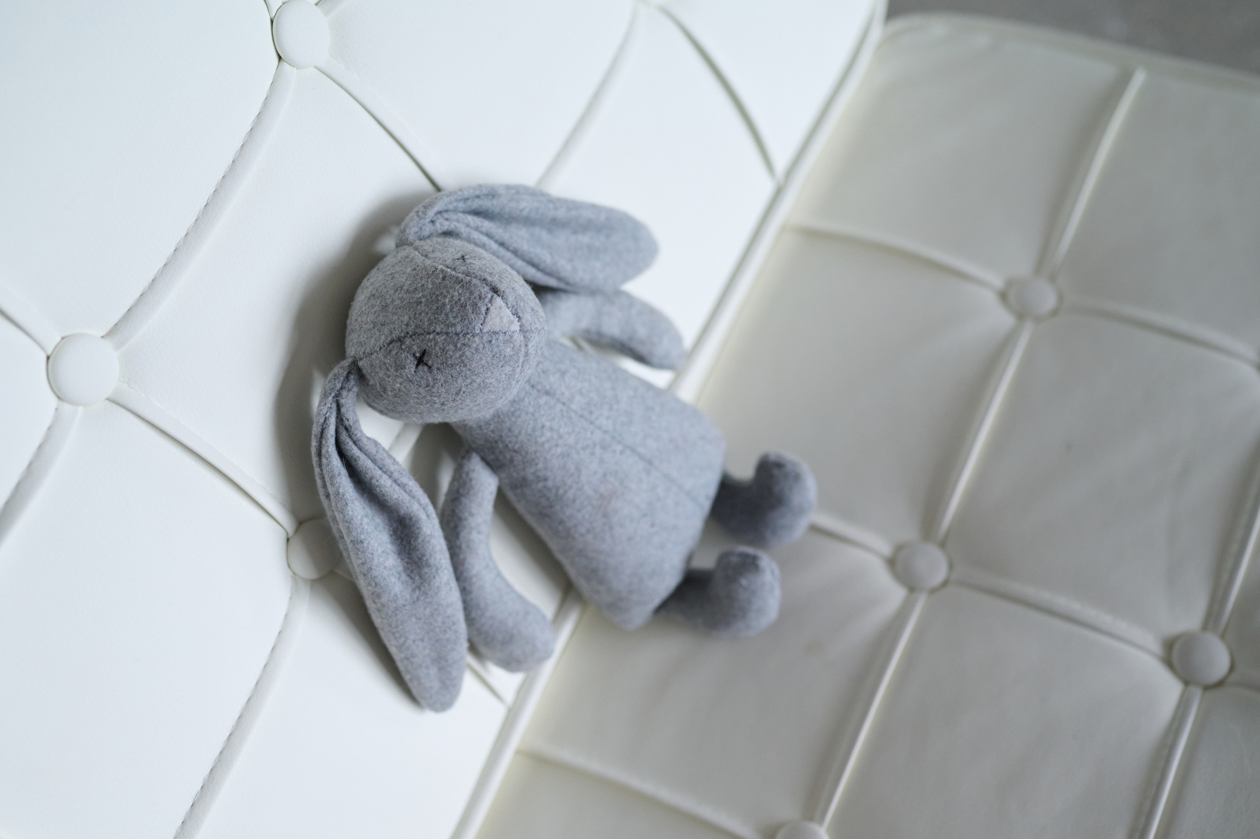 Мама и дочь. Фотограф анималист в Казани Алина Сулейманова. Фотограф животных