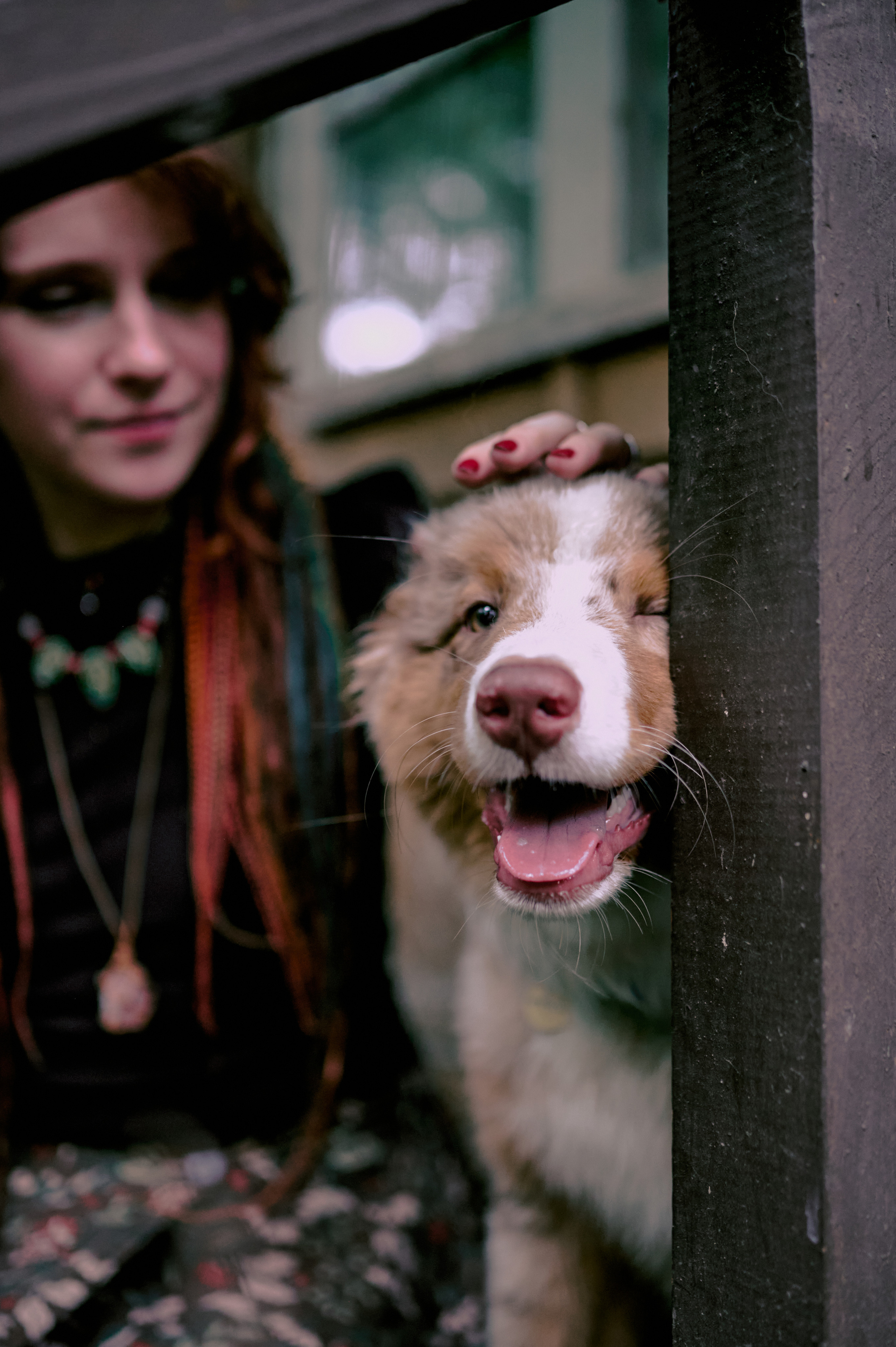 Настасья. В мастерской художника. Фотограф анималист в Казани Алина Сулейманова. Фотограф животных