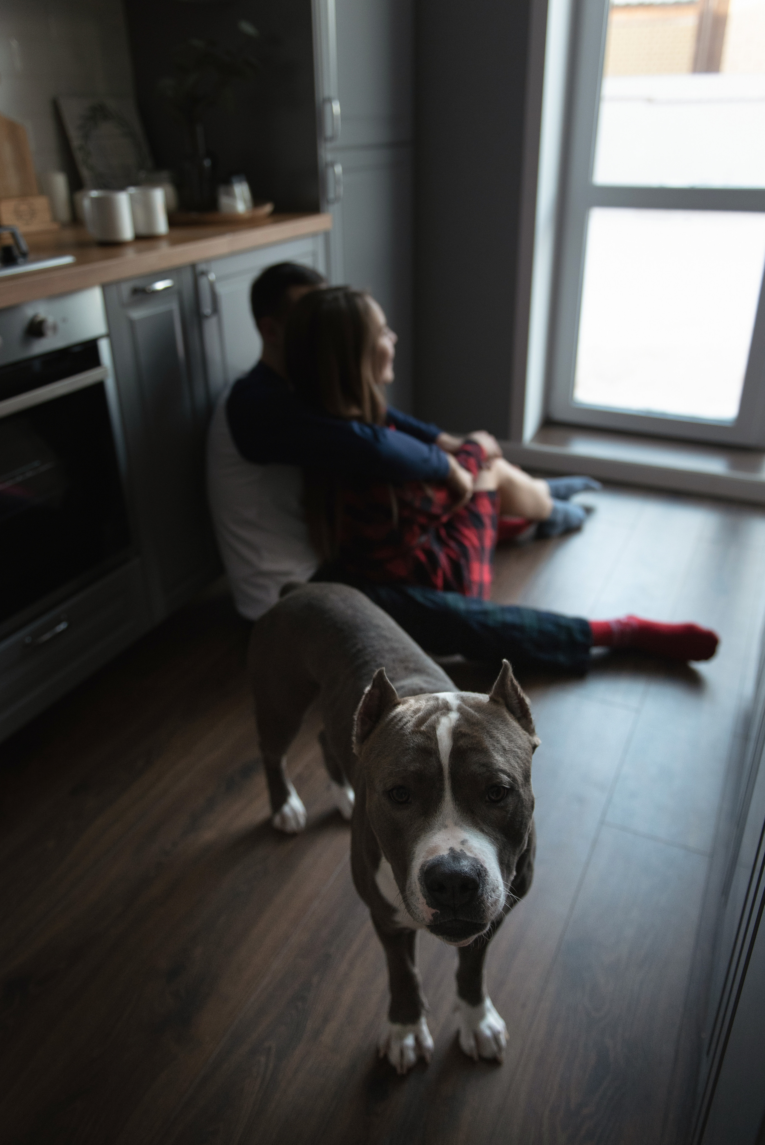 Ирина, Марат и Ричард. Фотограф анималист в Казани Алина Сулейманова. Фотограф животных