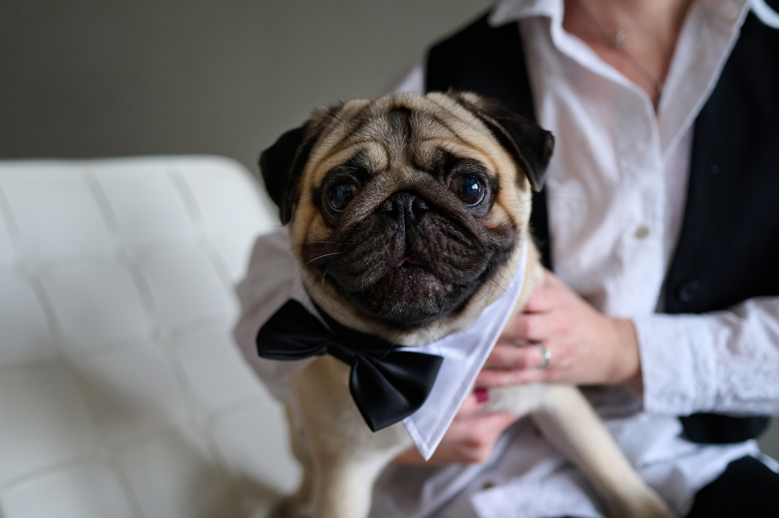 Мама и дочь. Фотограф анималист в Казани Алина Сулейманова. Фотограф животных